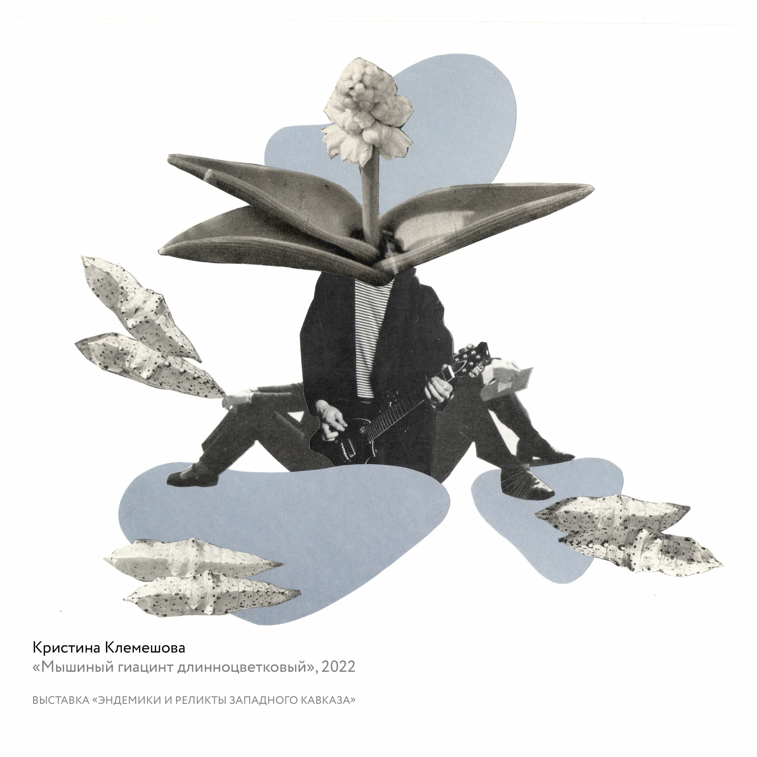 Выставка «Эндемики и реликты Западного Кавказа». Курортное дело