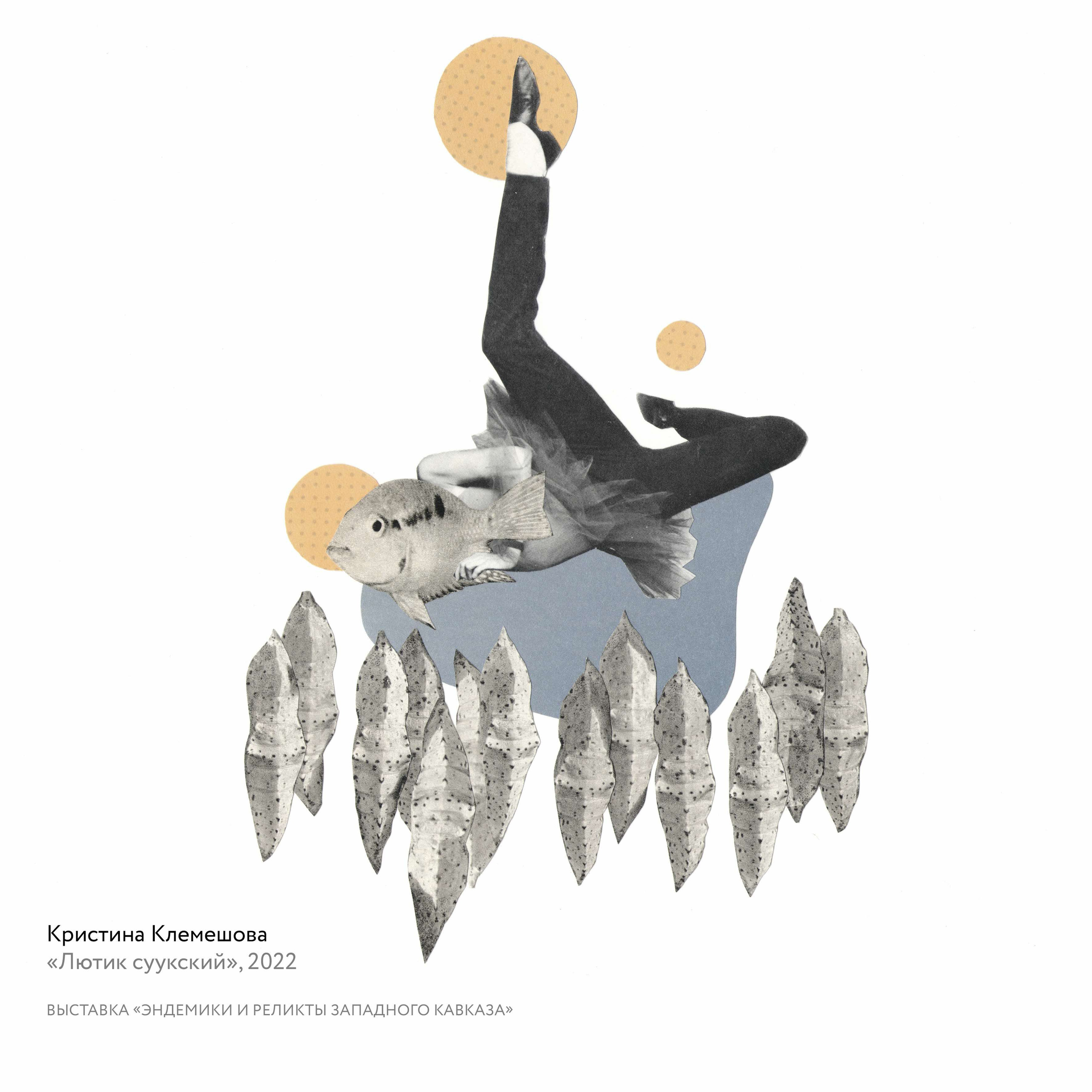 Выставка «Эндемики и реликты Западного Кавказа». Курортное дело