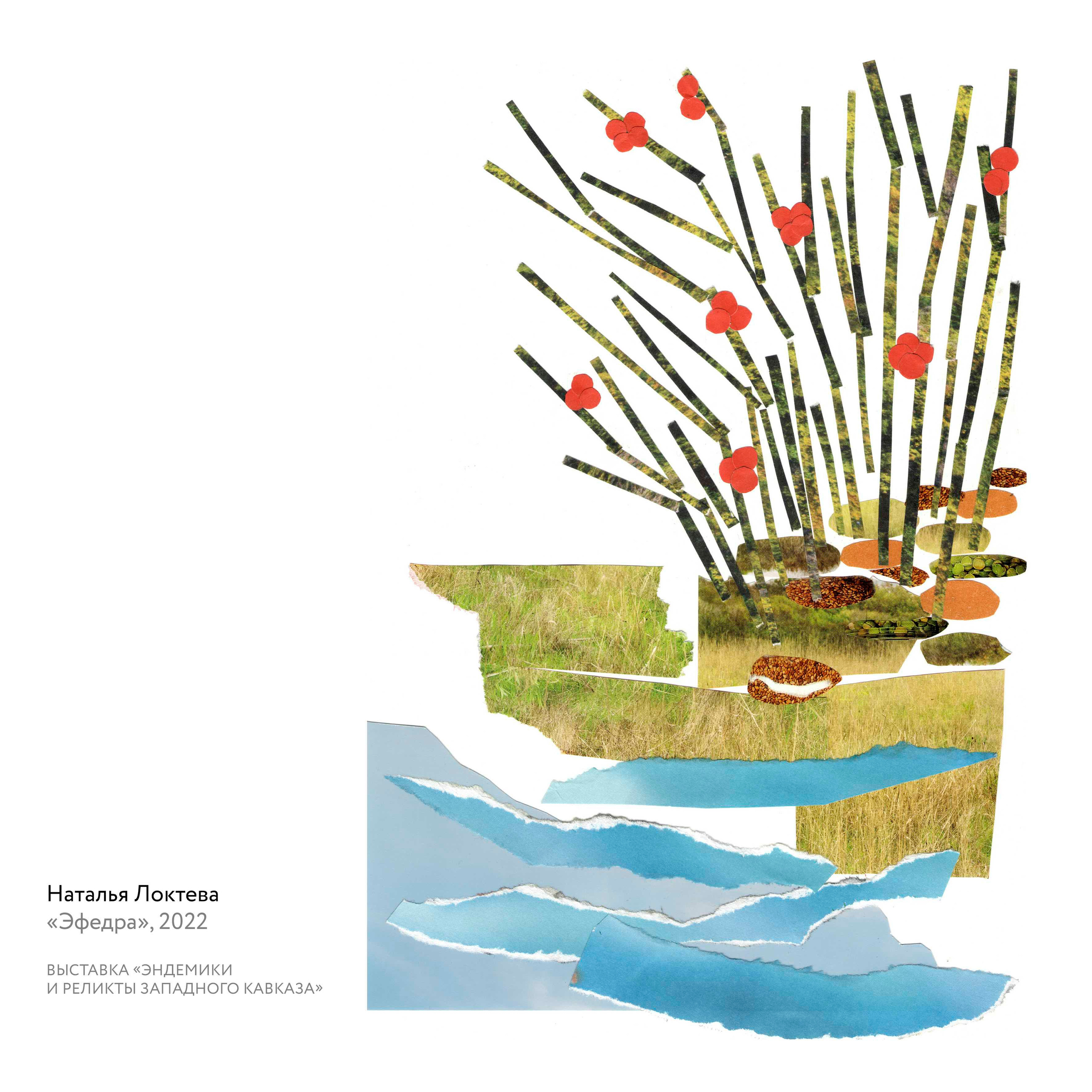 Выставка «Эндемики и реликты Западного Кавказа». Курортное дело