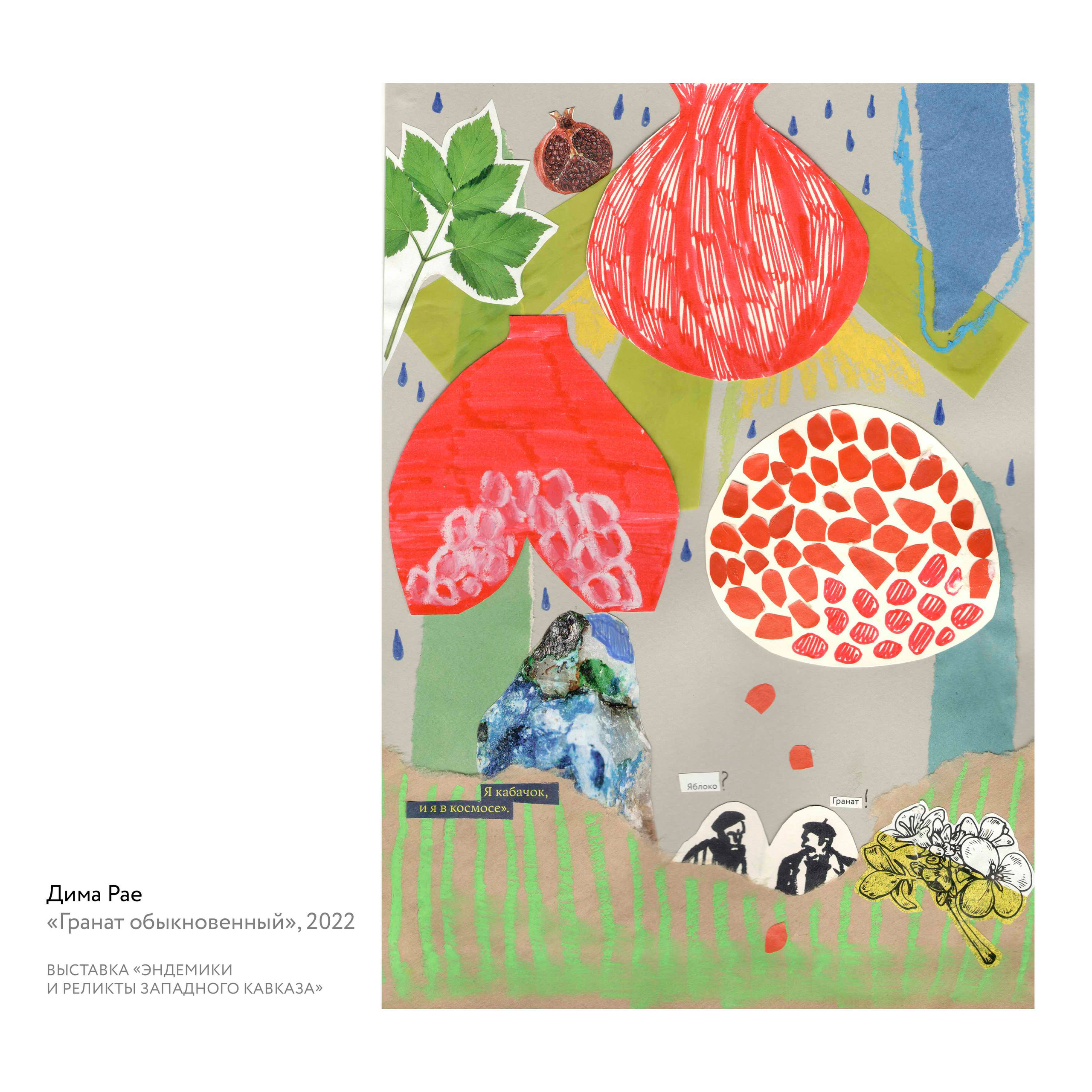 Выставка «Эндемики и реликты Западного Кавказа». Курортное дело