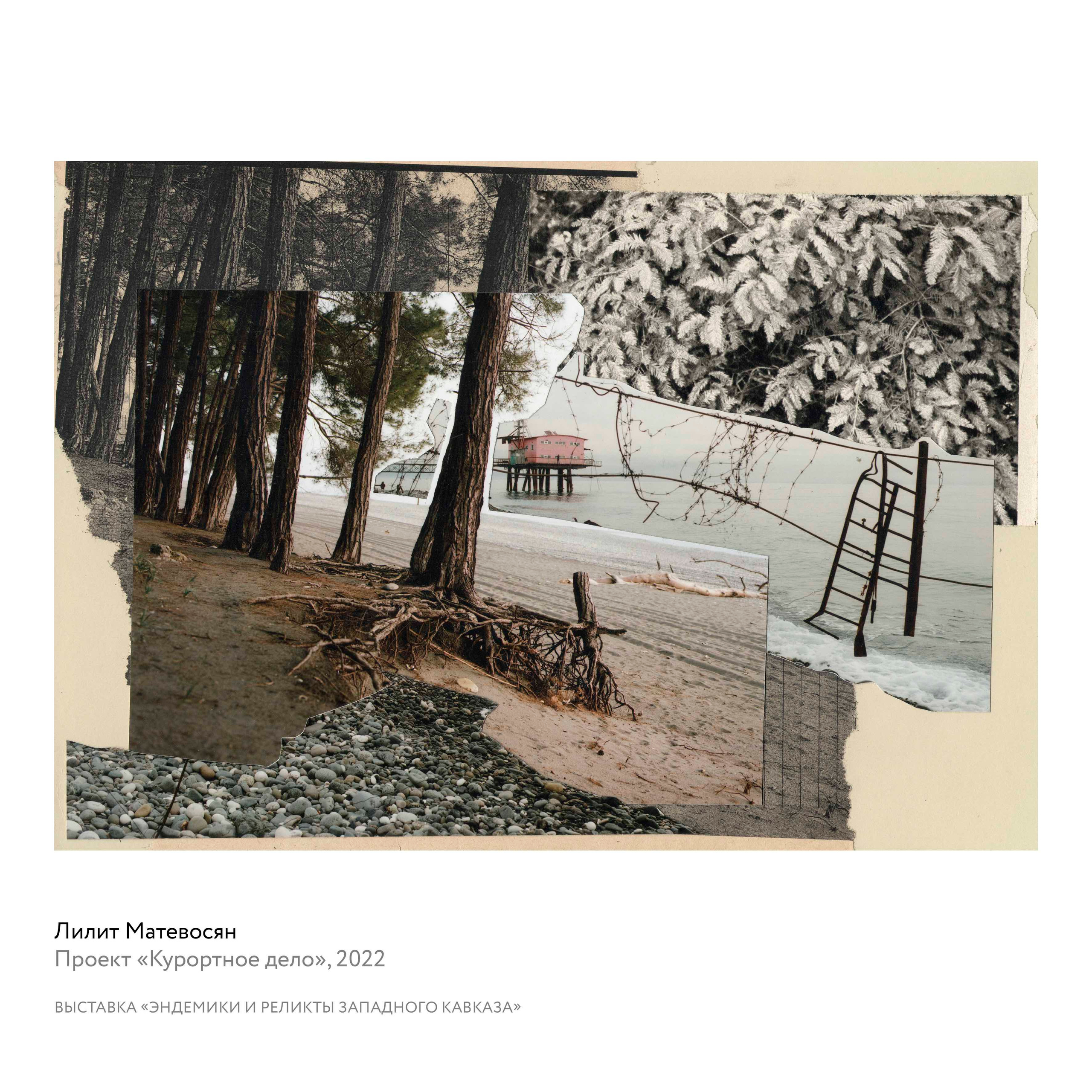 Выставка «Эндемики и реликты Западного Кавказа». Курортное дело