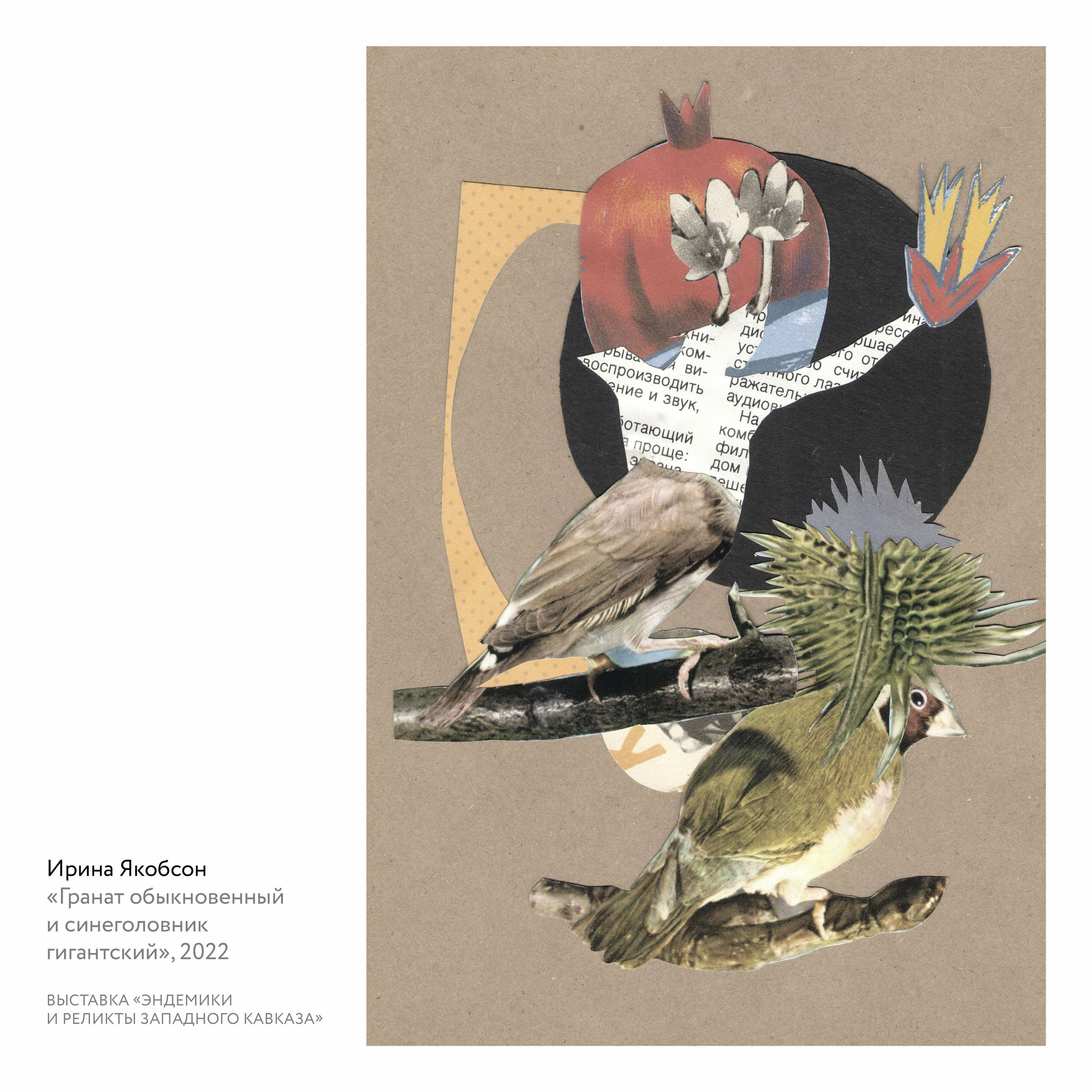 Выставка «Эндемики и реликты Западного Кавказа». Курортное дело