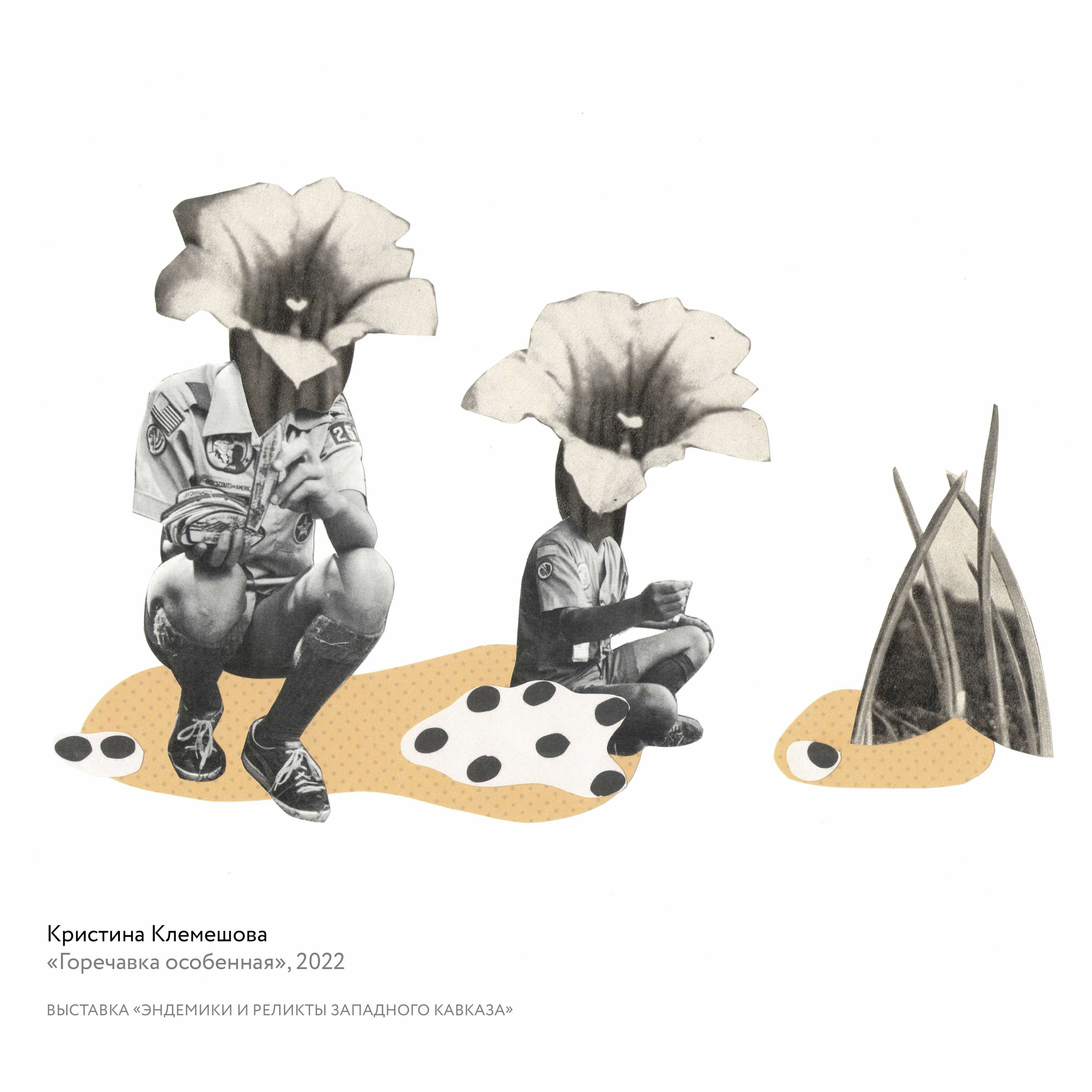 Выставка «Эндемики и реликты Западного Кавказа». Курортное дело