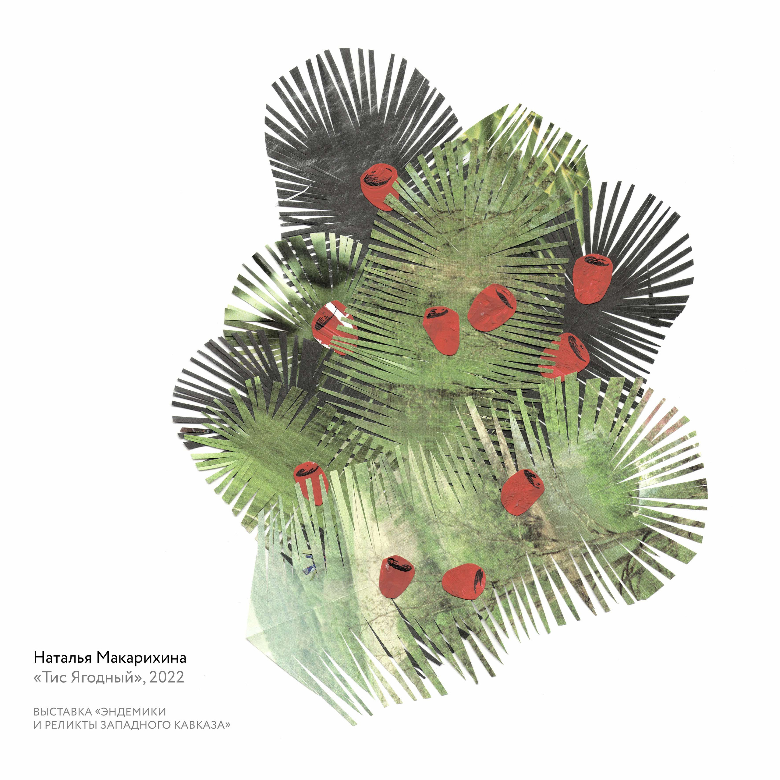 Выставка «Эндемики и реликты Западного Кавказа». Курортное дело