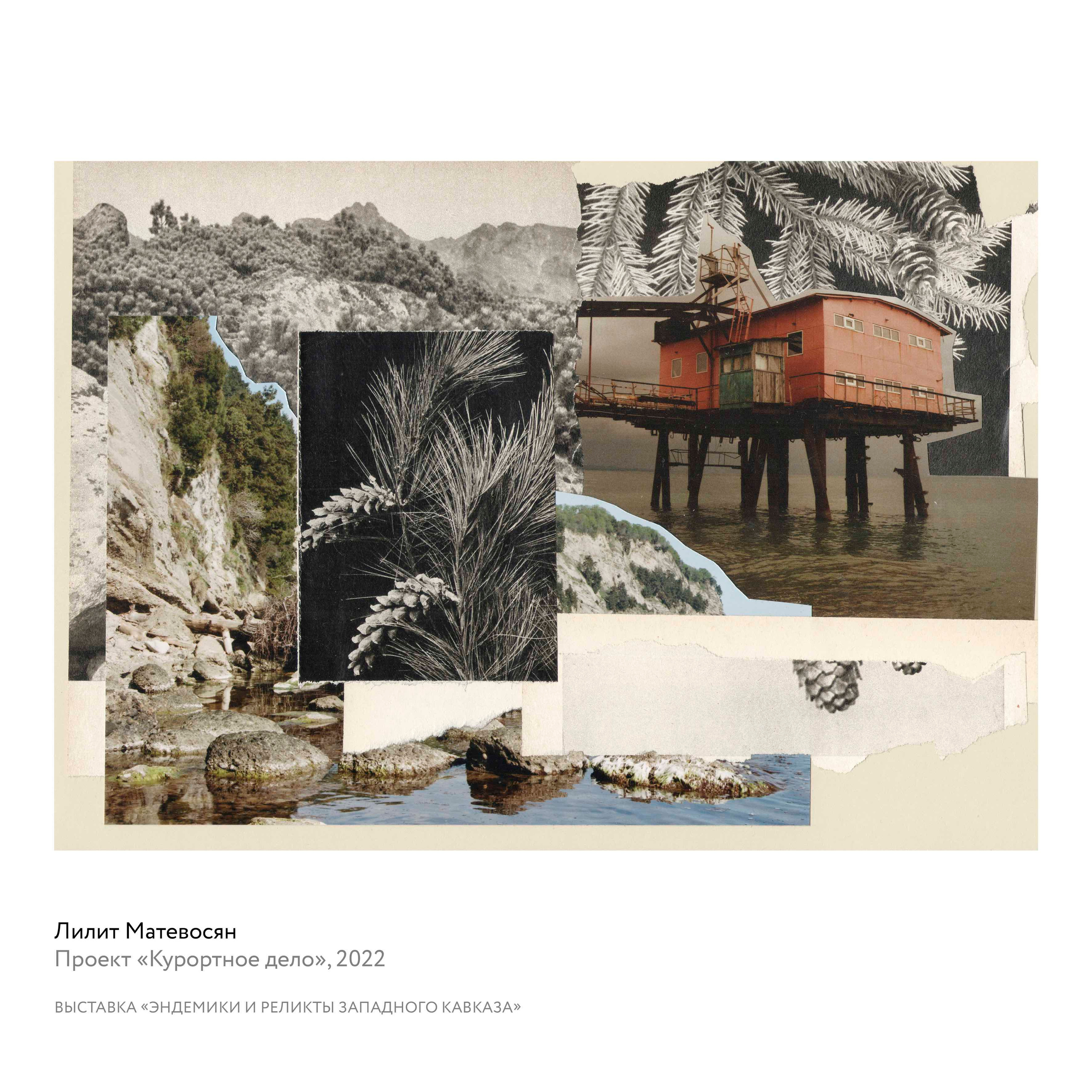 Выставка «Эндемики и реликты Западного Кавказа». Курортное дело