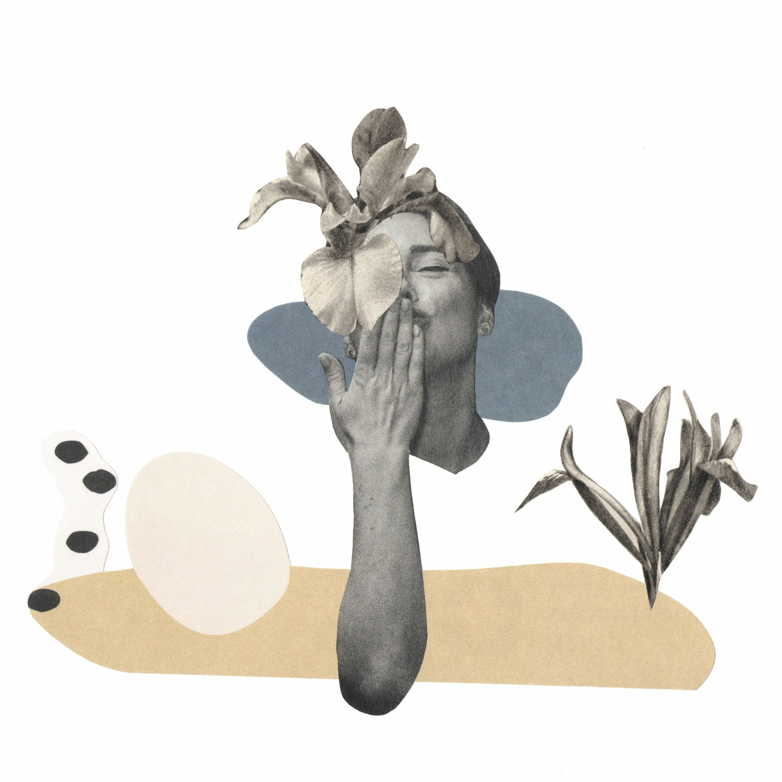 Выставка «Эндемики и реликты Западного Кавказа». Курортное дело