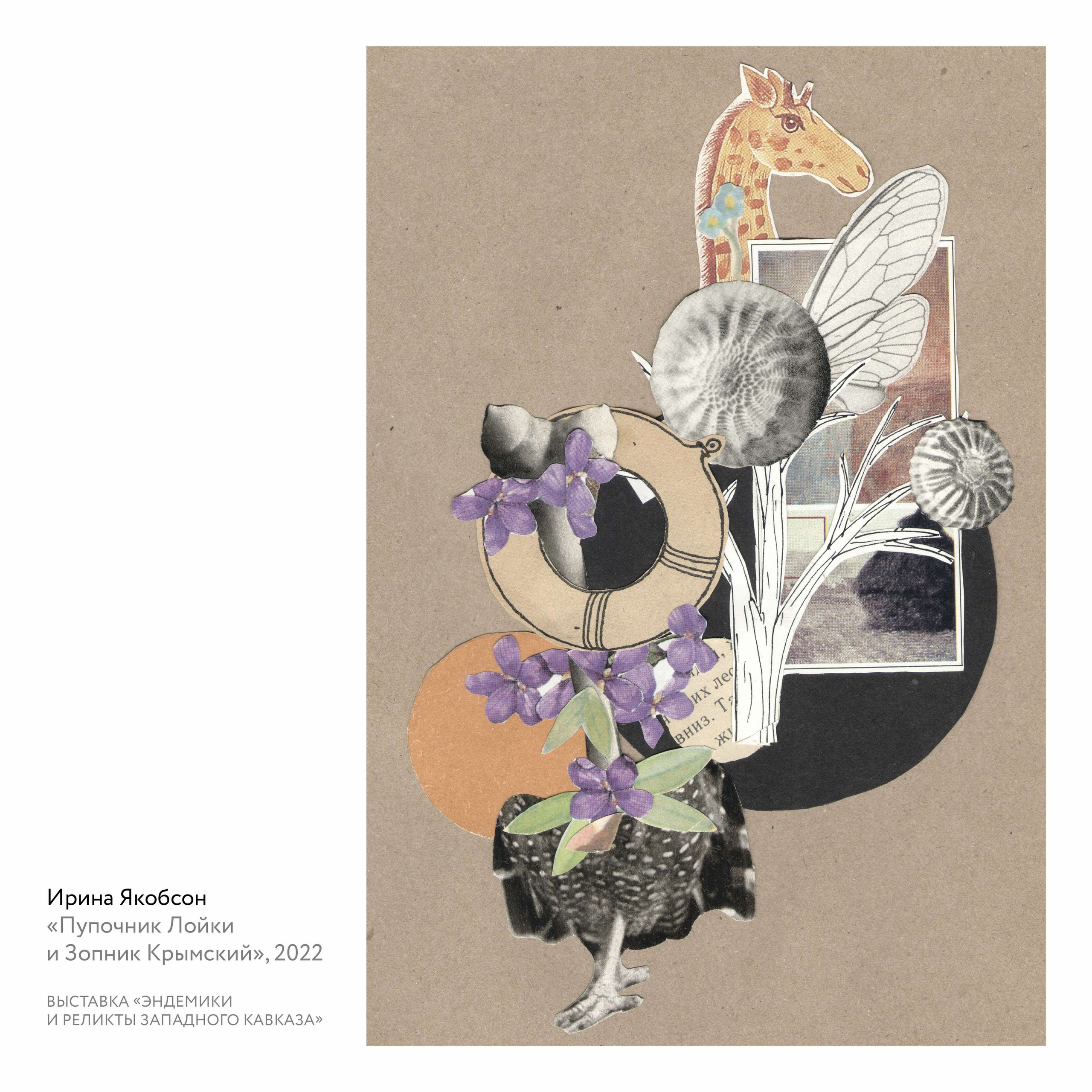 Выставка «Эндемики и реликты Западного Кавказа». Курортное дело