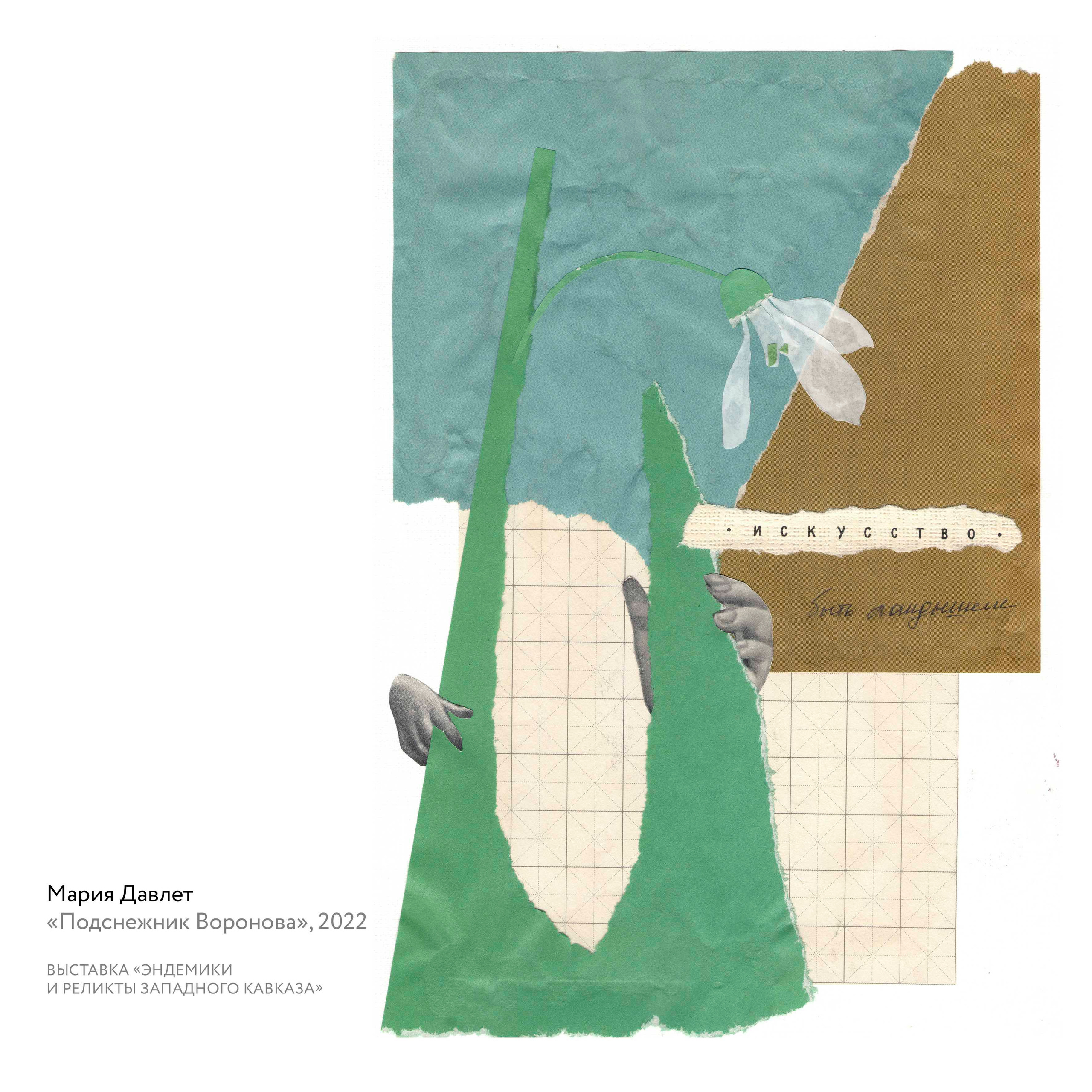 Выставка «Эндемики и реликты Западного Кавказа». Курортное дело