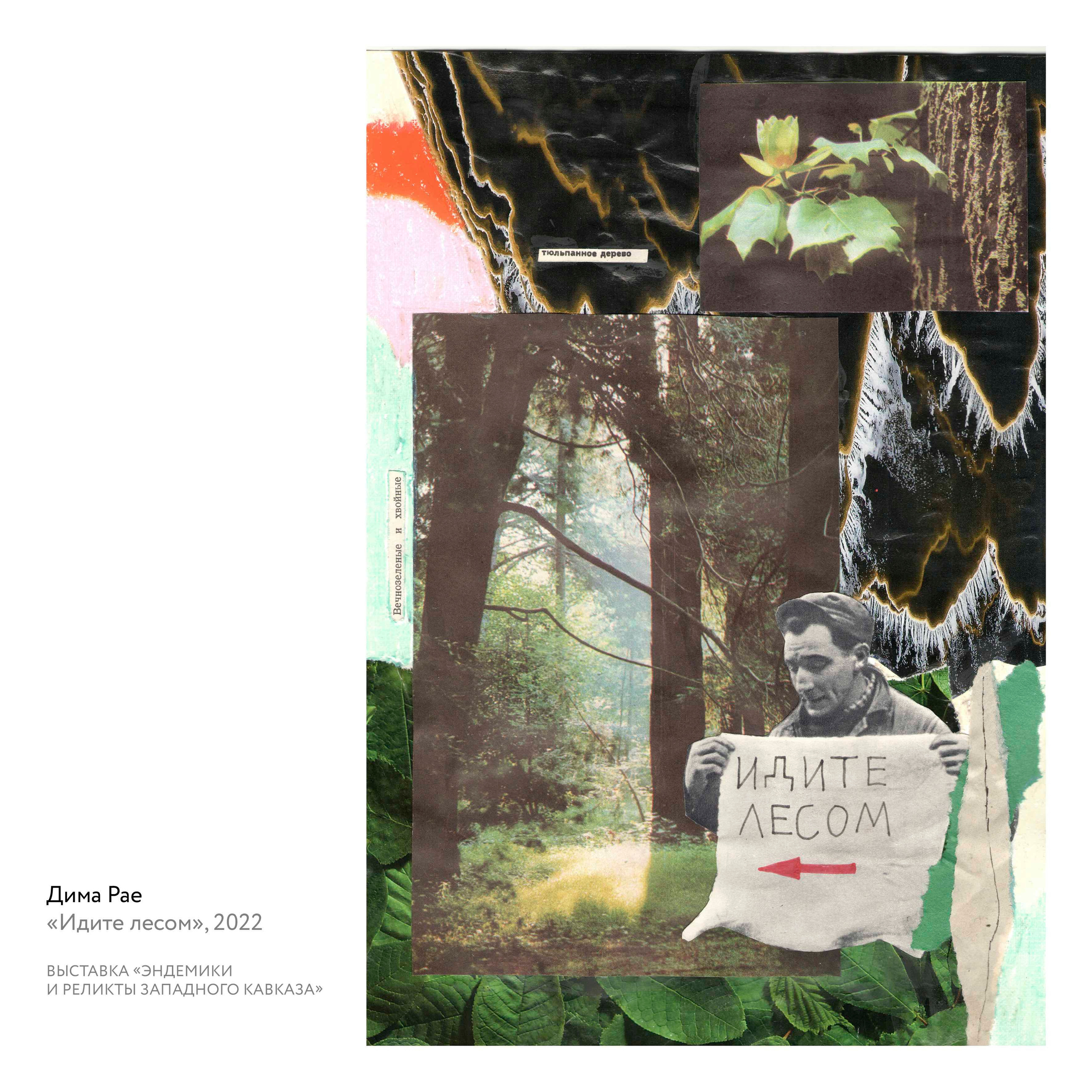 Выставка «Эндемики и реликты Западного Кавказа». Курортное дело