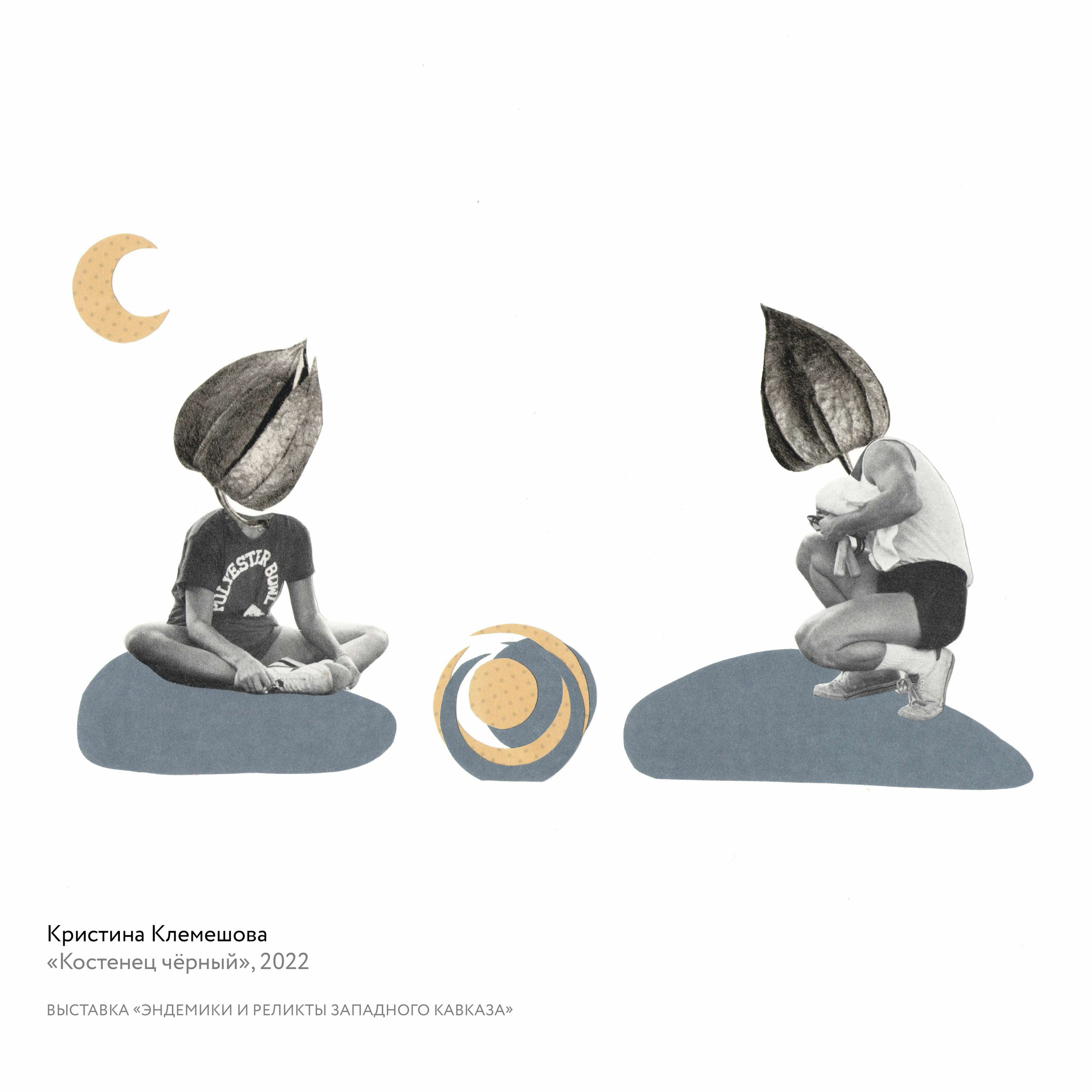 Выставка «Эндемики и реликты Западного Кавказа». Курортное дело