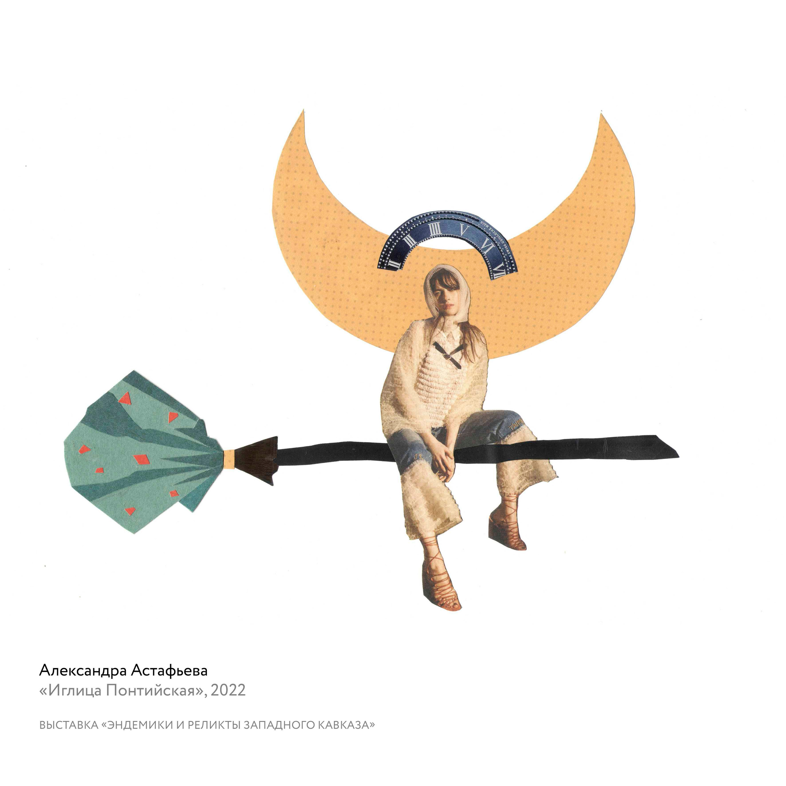 Выставка «Эндемики и реликты Западного Кавказа». Курортное дело