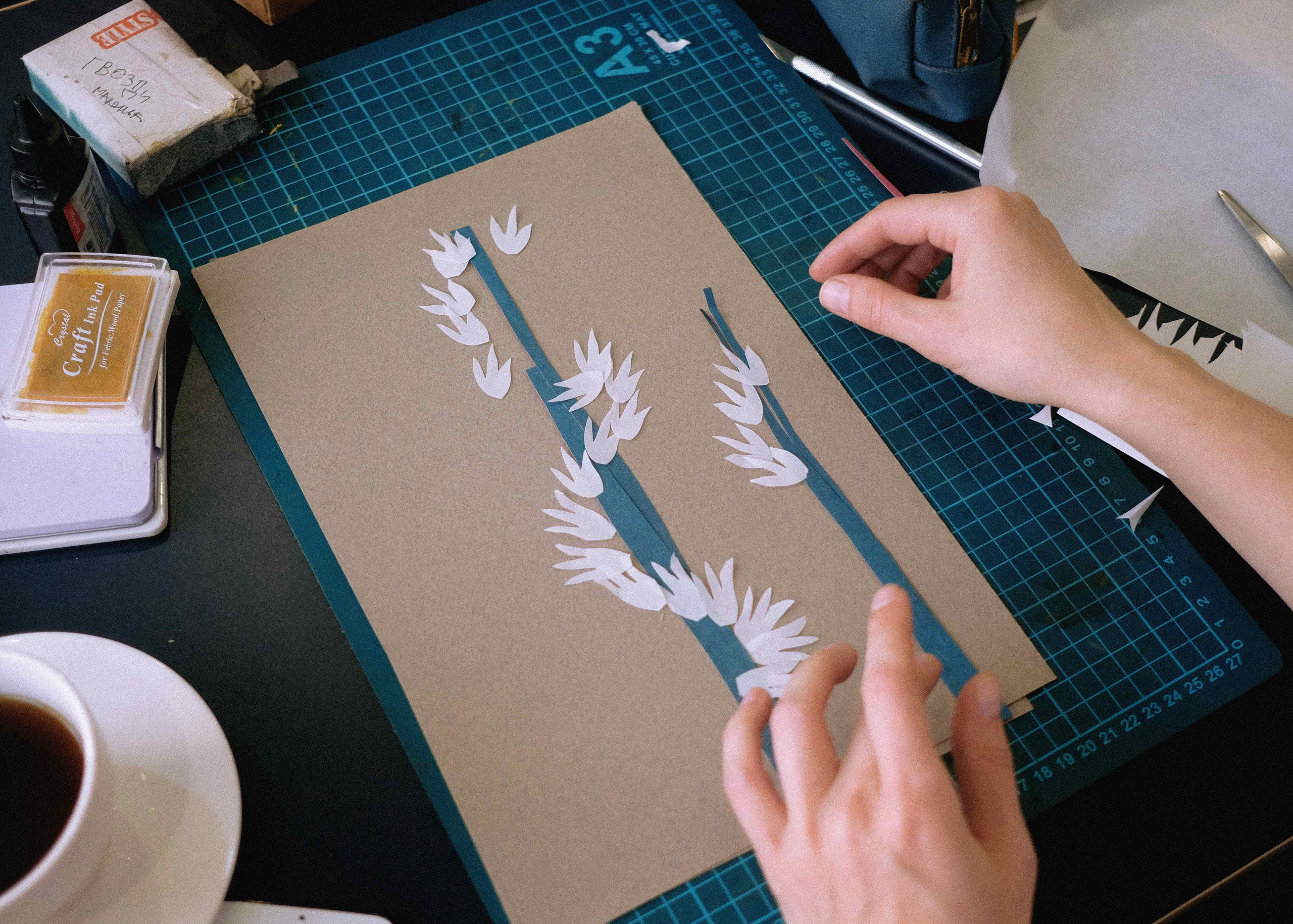 Выставка «Эндемики и реликты Западного Кавказа». Курортное дело