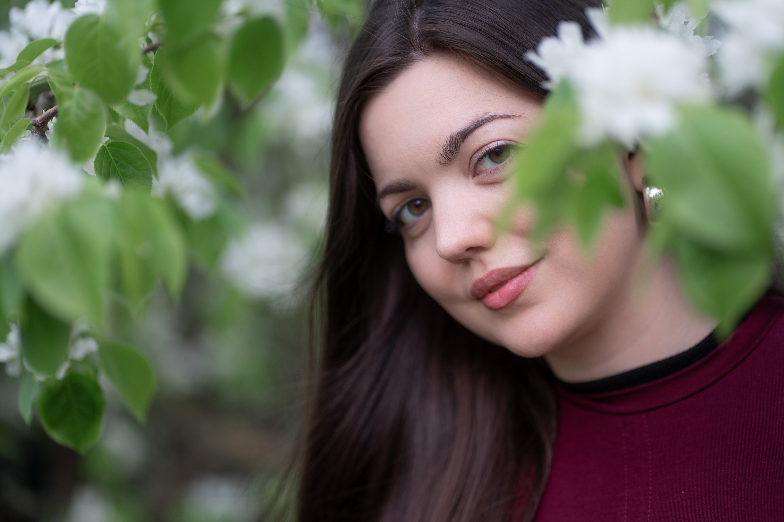 Фотосессия цветение. Яростный фотолюбитель Vervie Vitoe