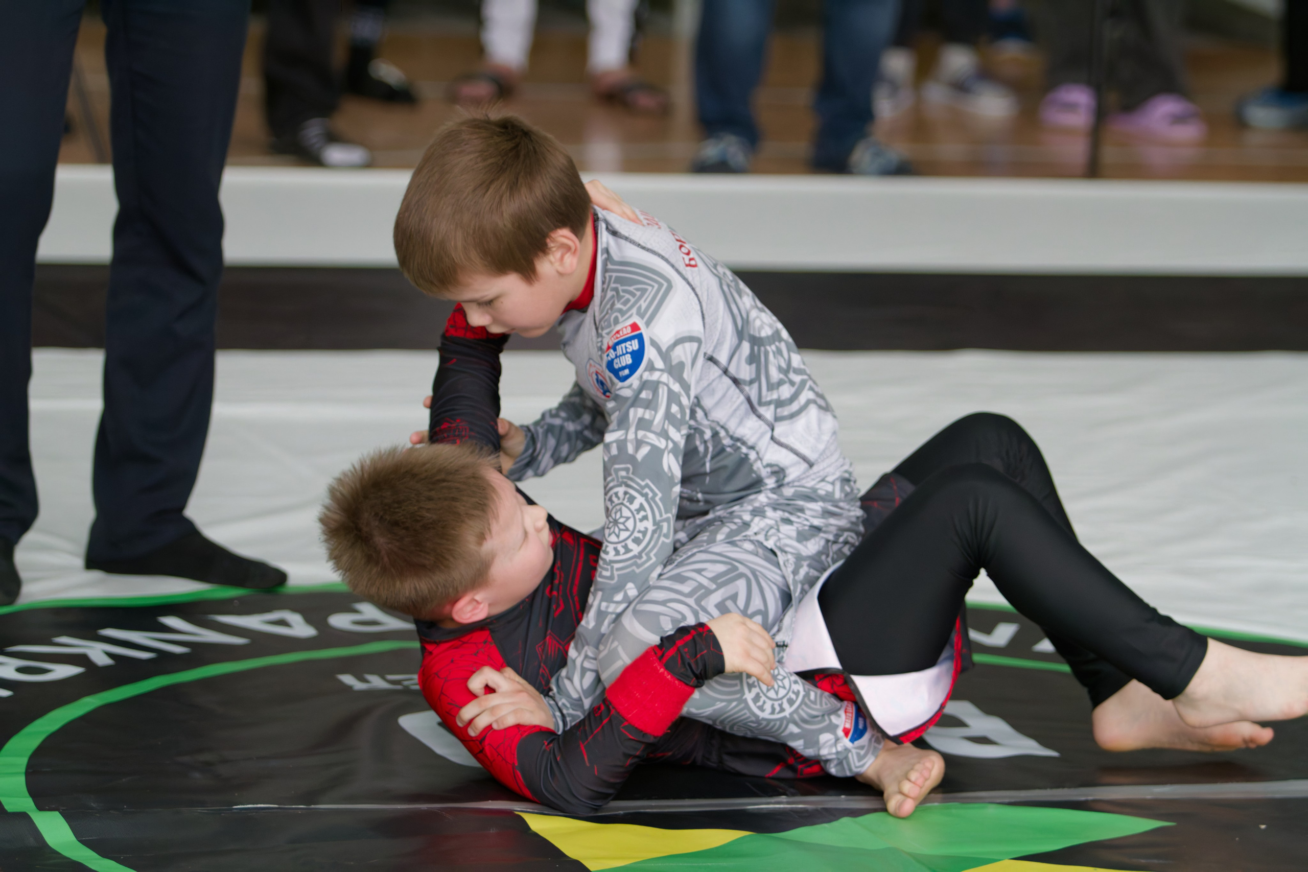 Борьба. Джиу-джитсу 26.04.2025. Репортажный и спортивный фотограф в г. Пермь Зильберг Павел
