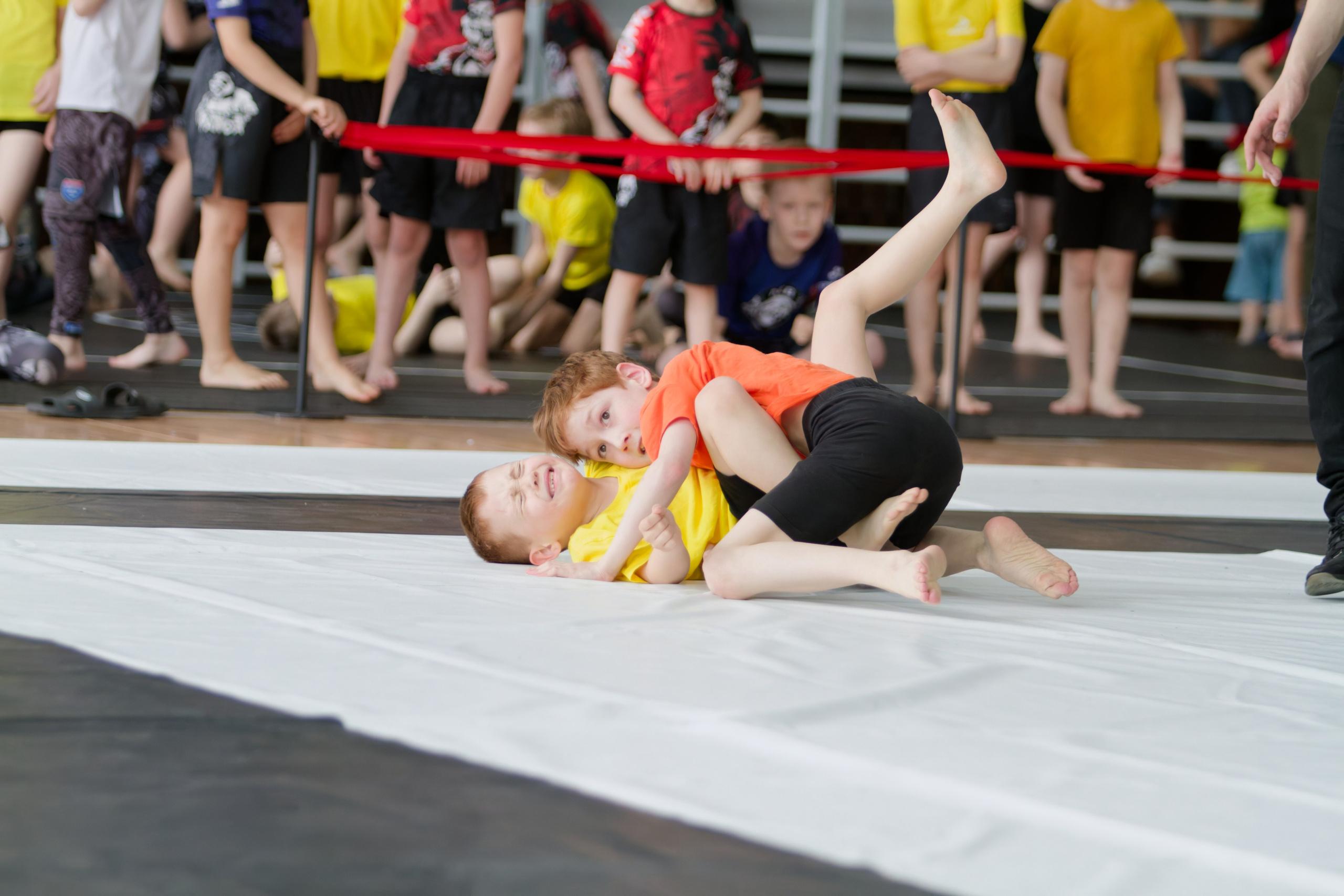Борьба. Джиу-джитсу 26.04.2025. Репортажный и спортивный фотограф в г. Пермь Зильберг Павел