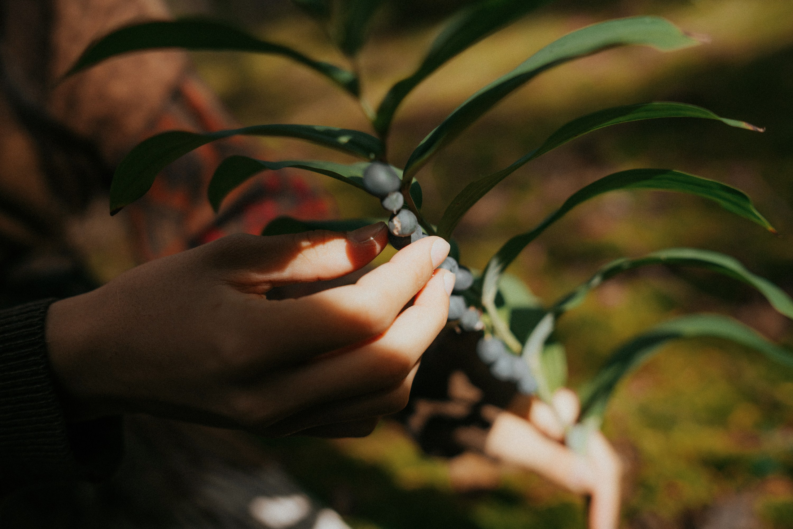 Милана. Фотограф в Ижевске Маша Бакланова