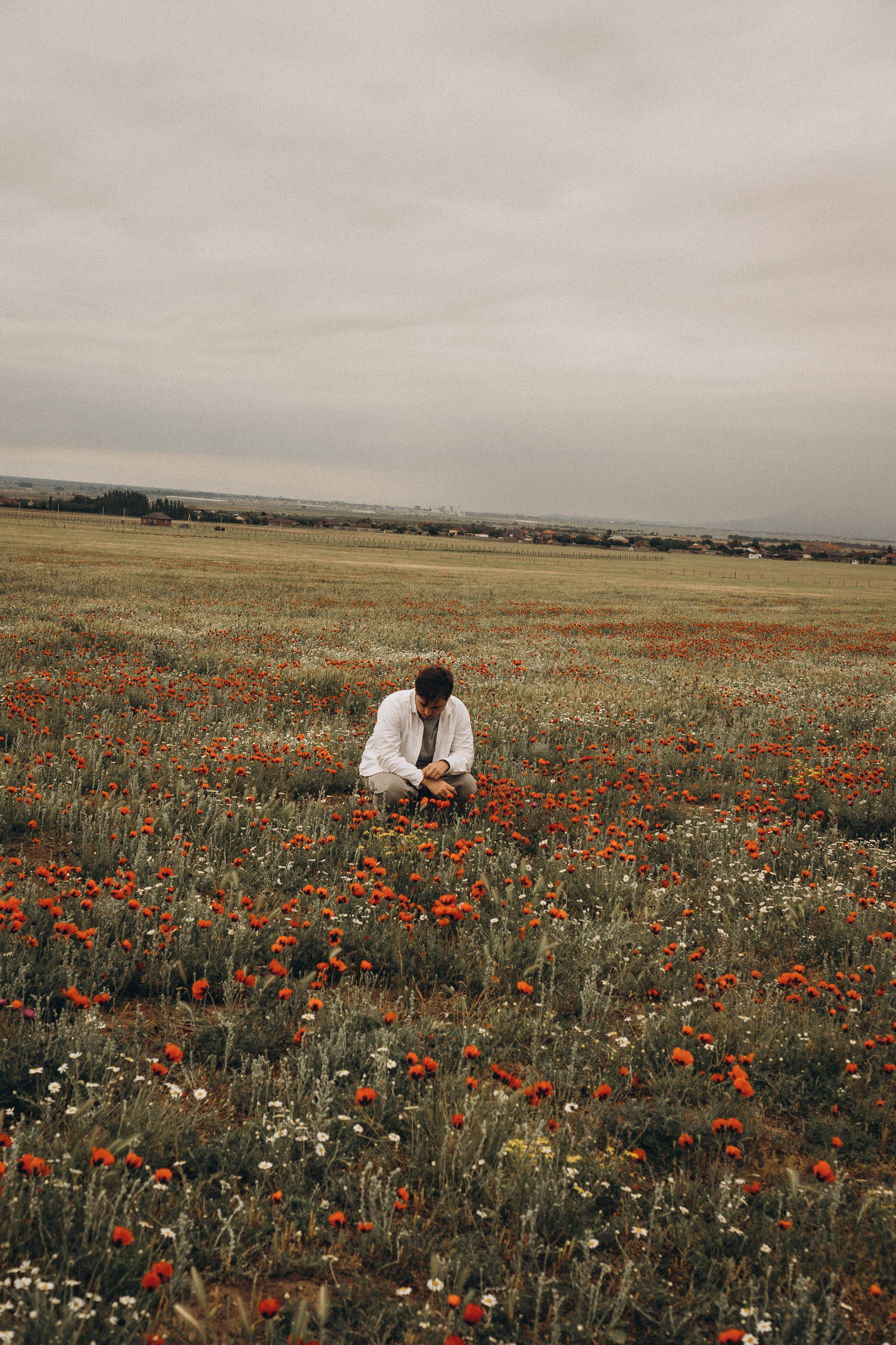 Маки. Профессиональный фотограф, Санкт-Петербург — Виктория Богомолова