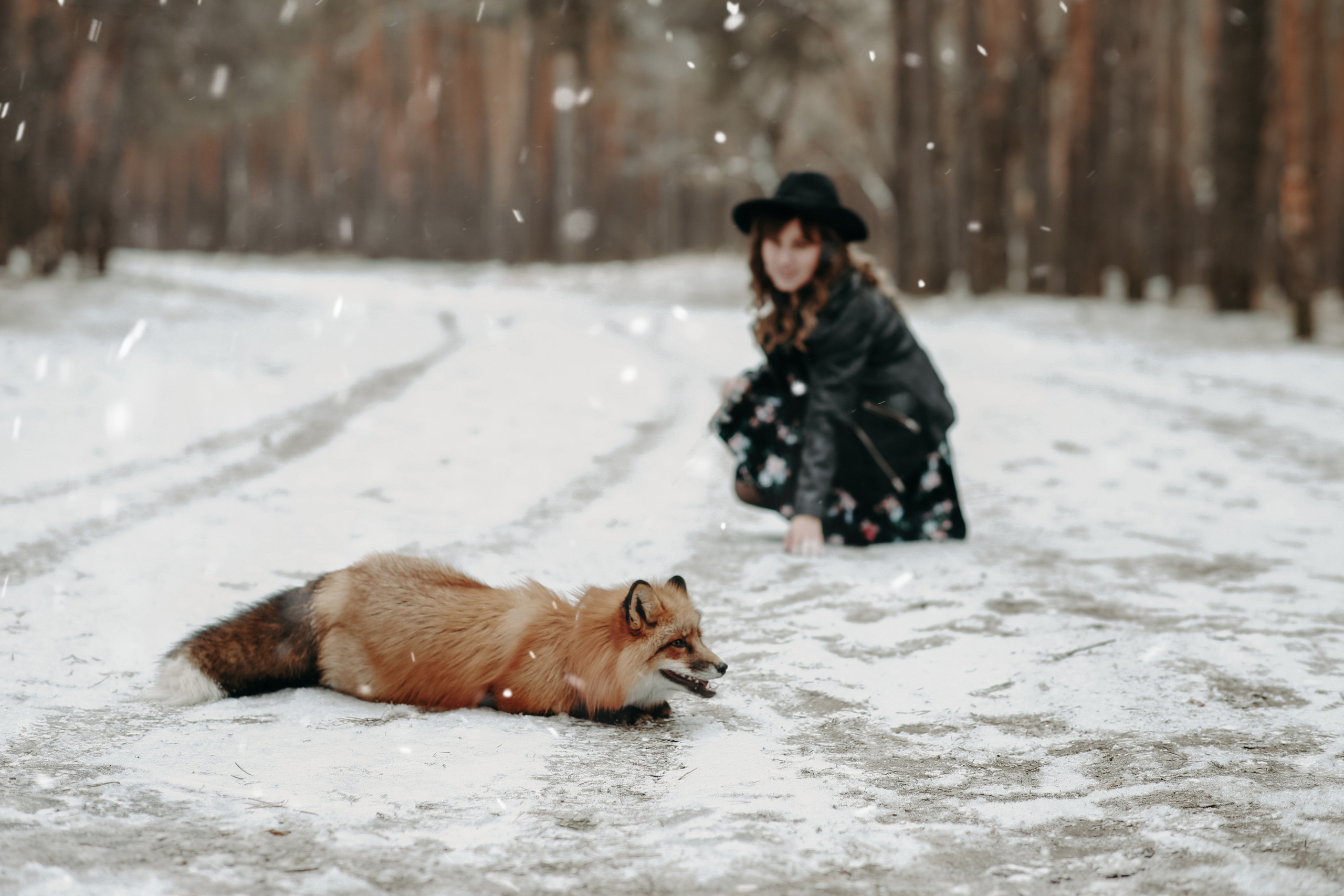 Евгения и Лисёнок. Фотограф Брянск