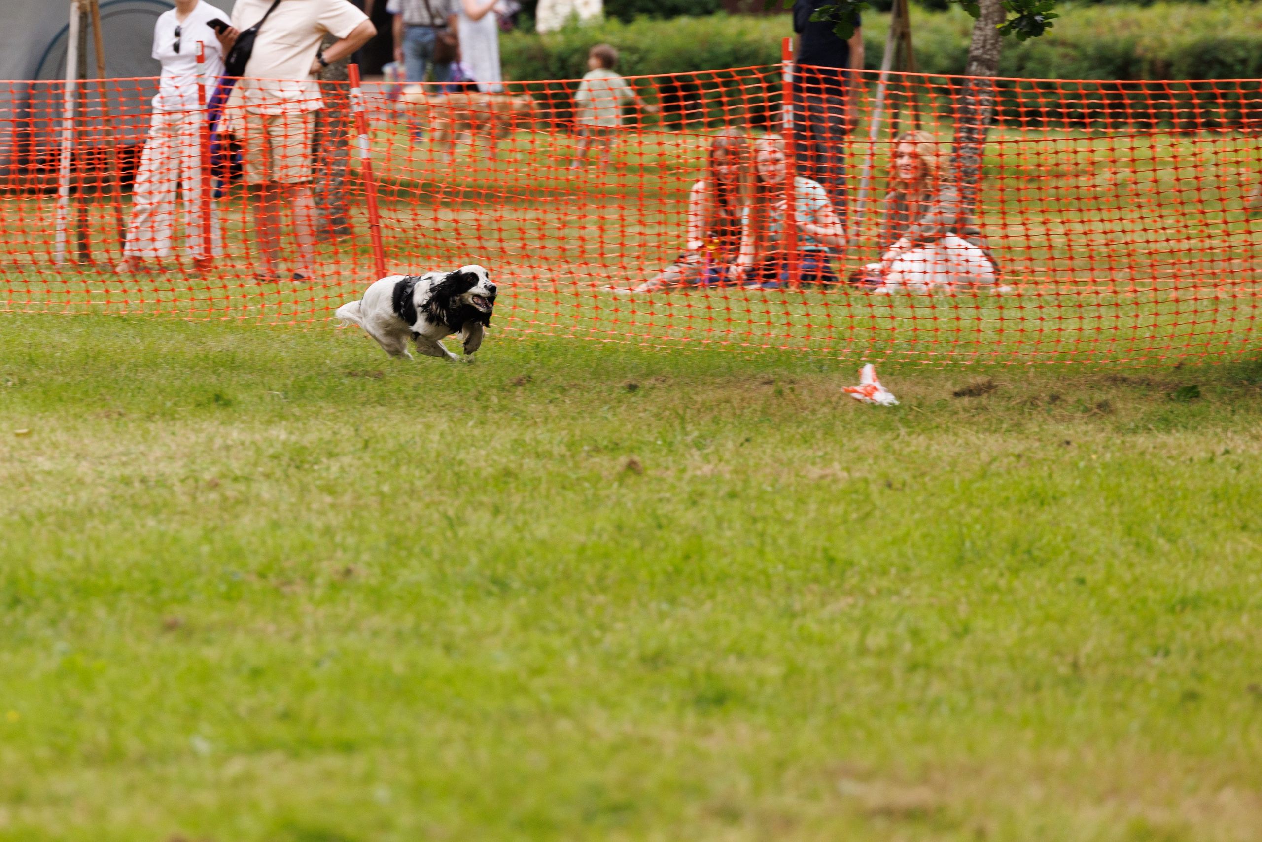 PetShopDays2026. Фотограф Александр Заломаев