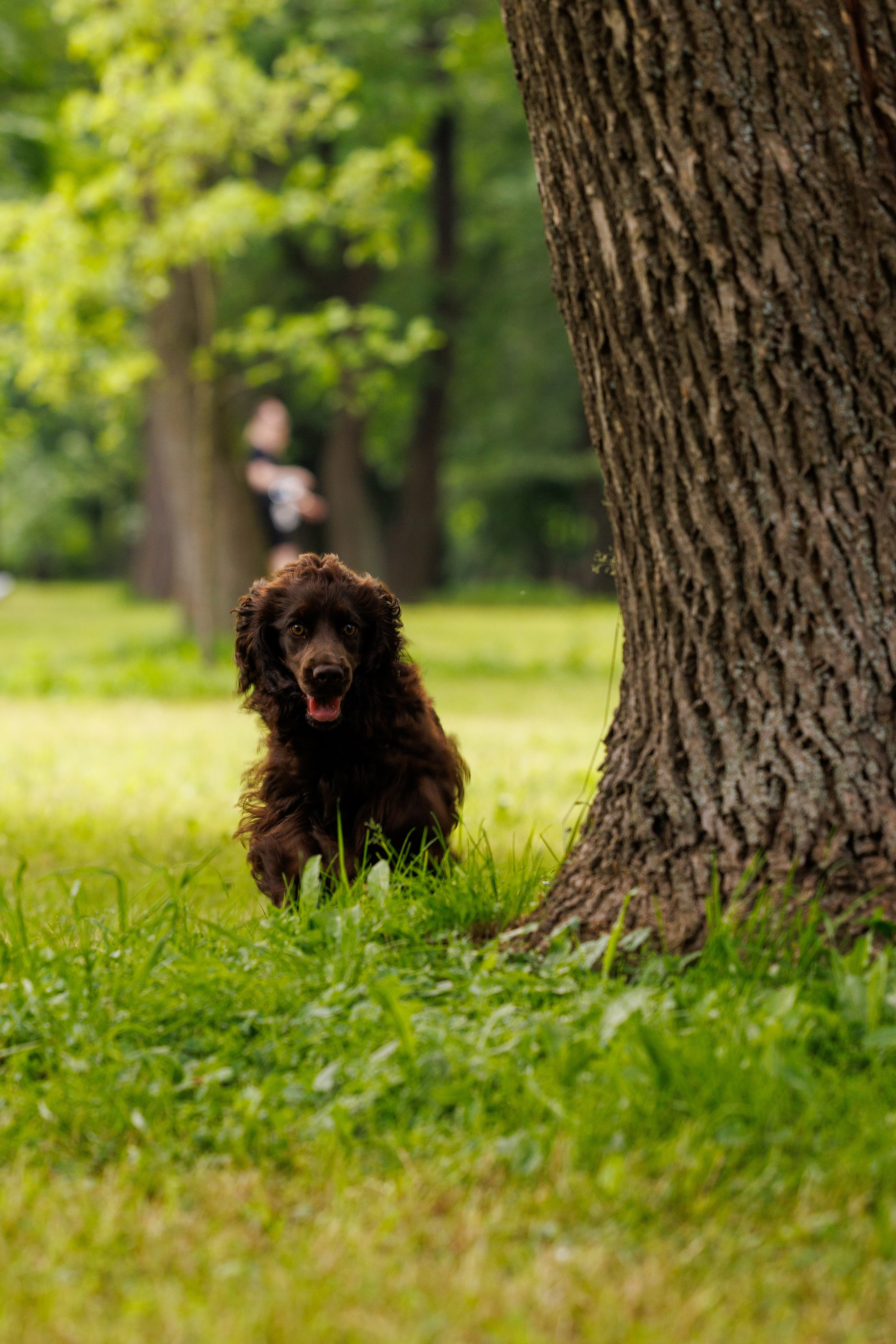 PetShopDays2026. Фотограф Александр Заломаев