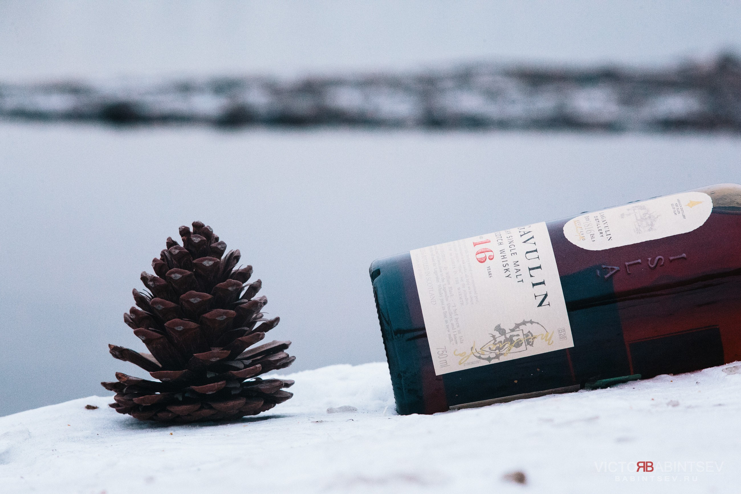 Whisky. Семейный и репортажной фотограф в Красноярске и Москве Виктор Бабинцев