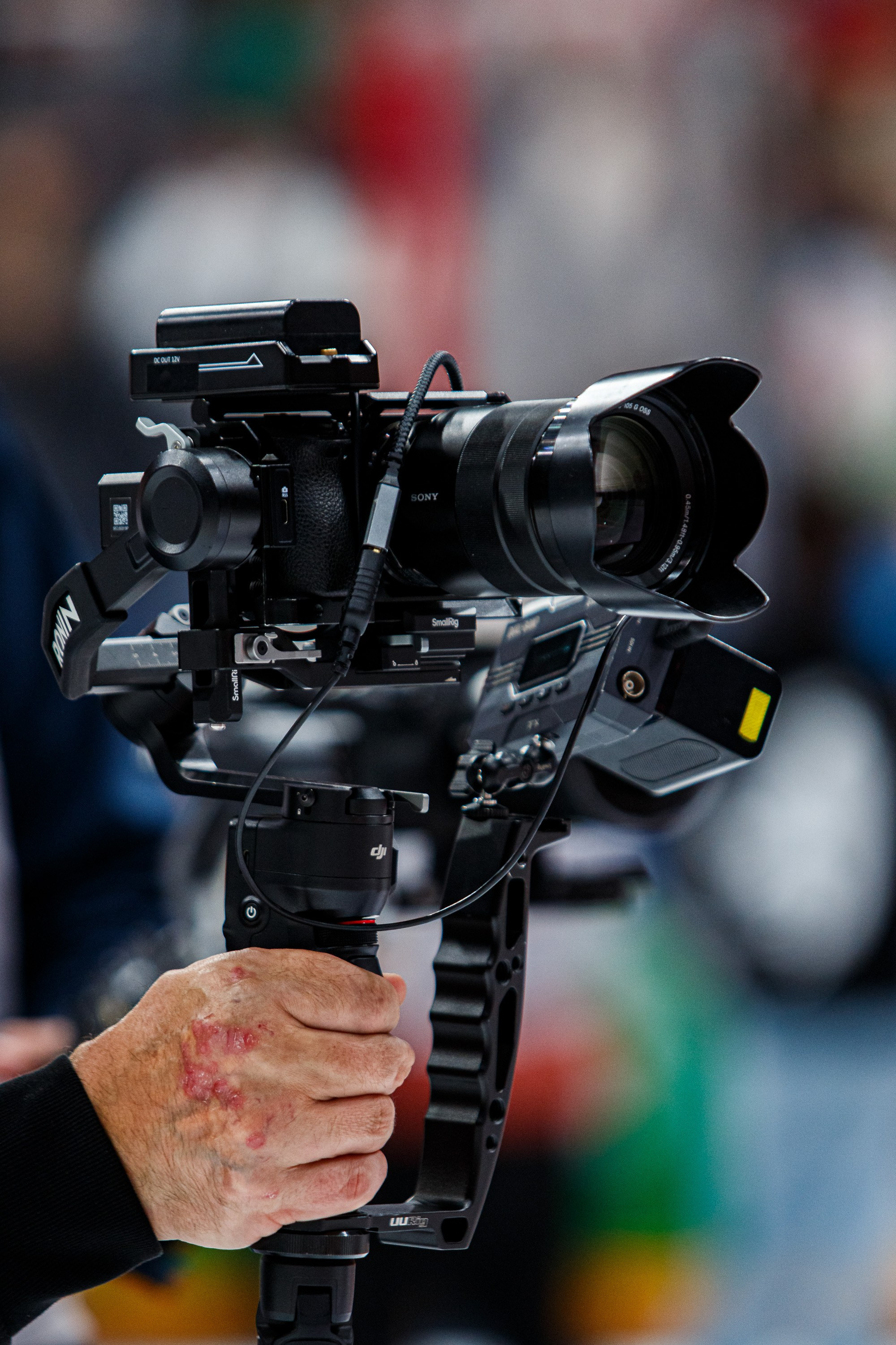 Россия — Беларусь. Спортивный фотограф в Смоленске — Екатерина Степенок