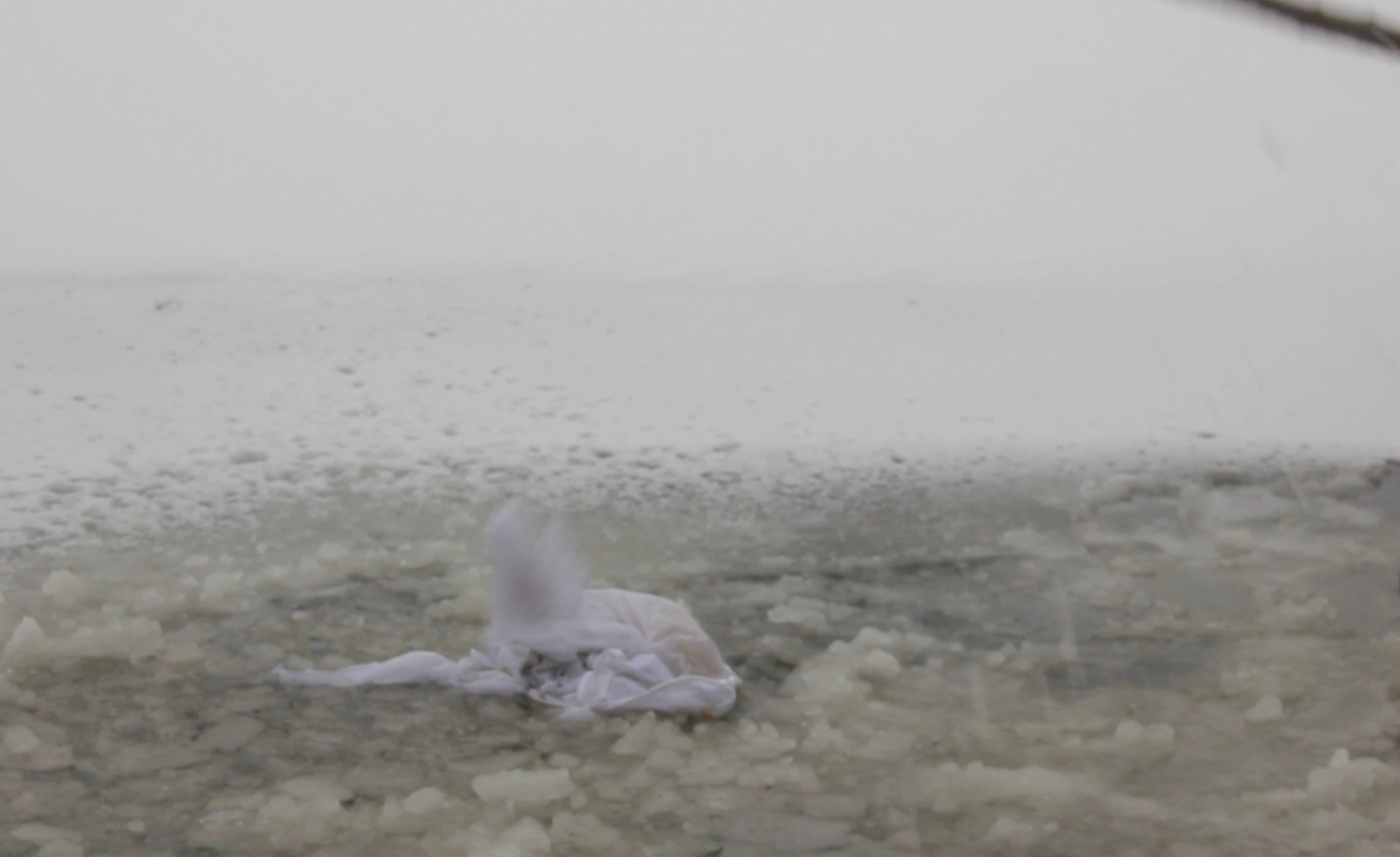 ЛЕД. Художественная группа «Нежные Бабы»