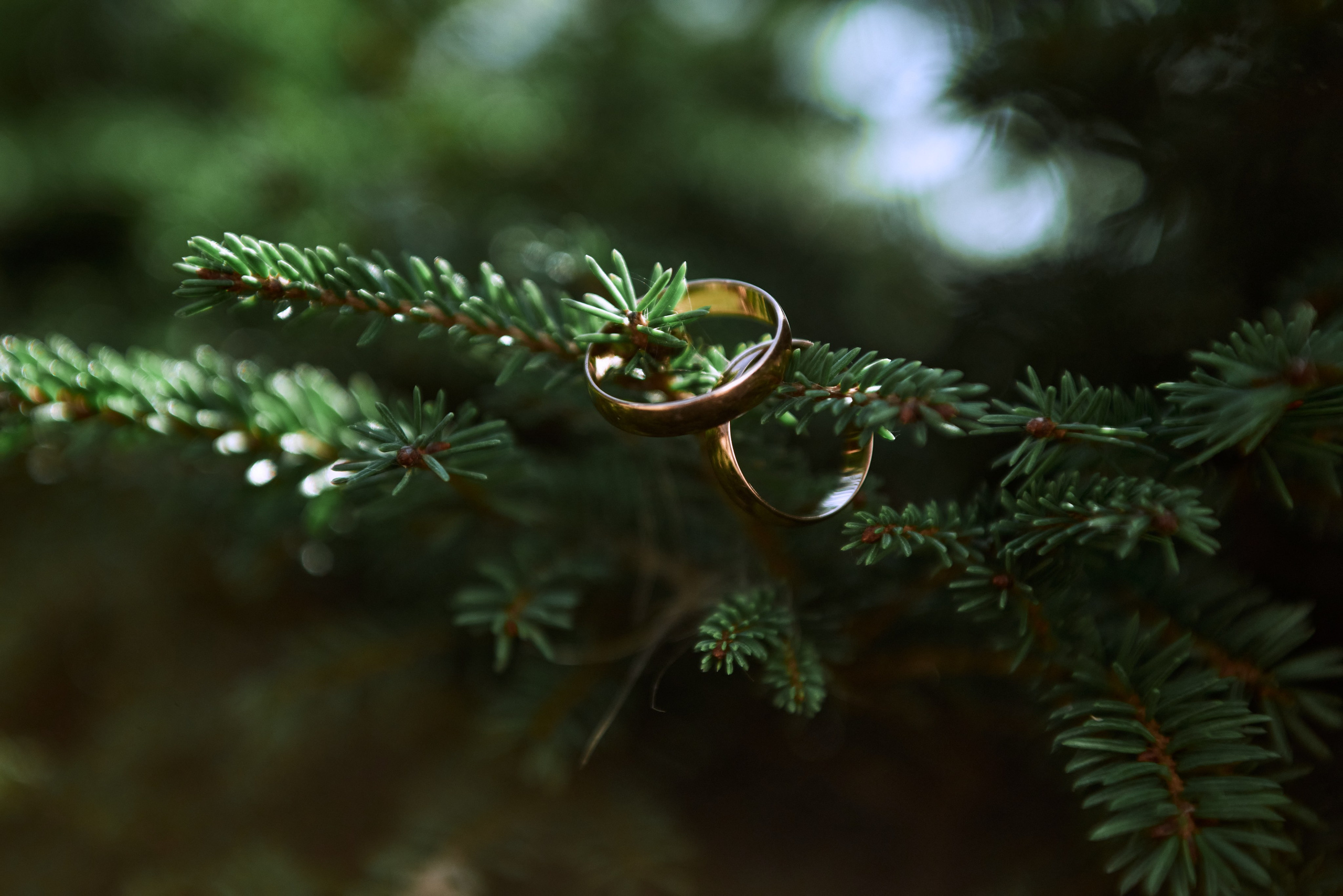 Фотосессия с мотоциклом