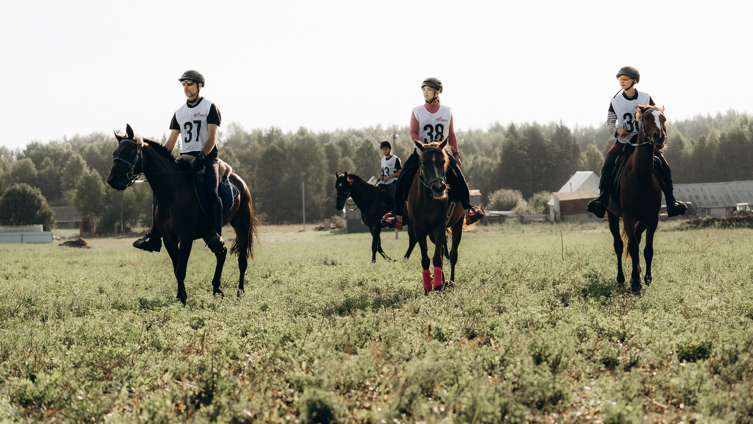 День Коня. Алиса Никитцова | Фотограф в Казани