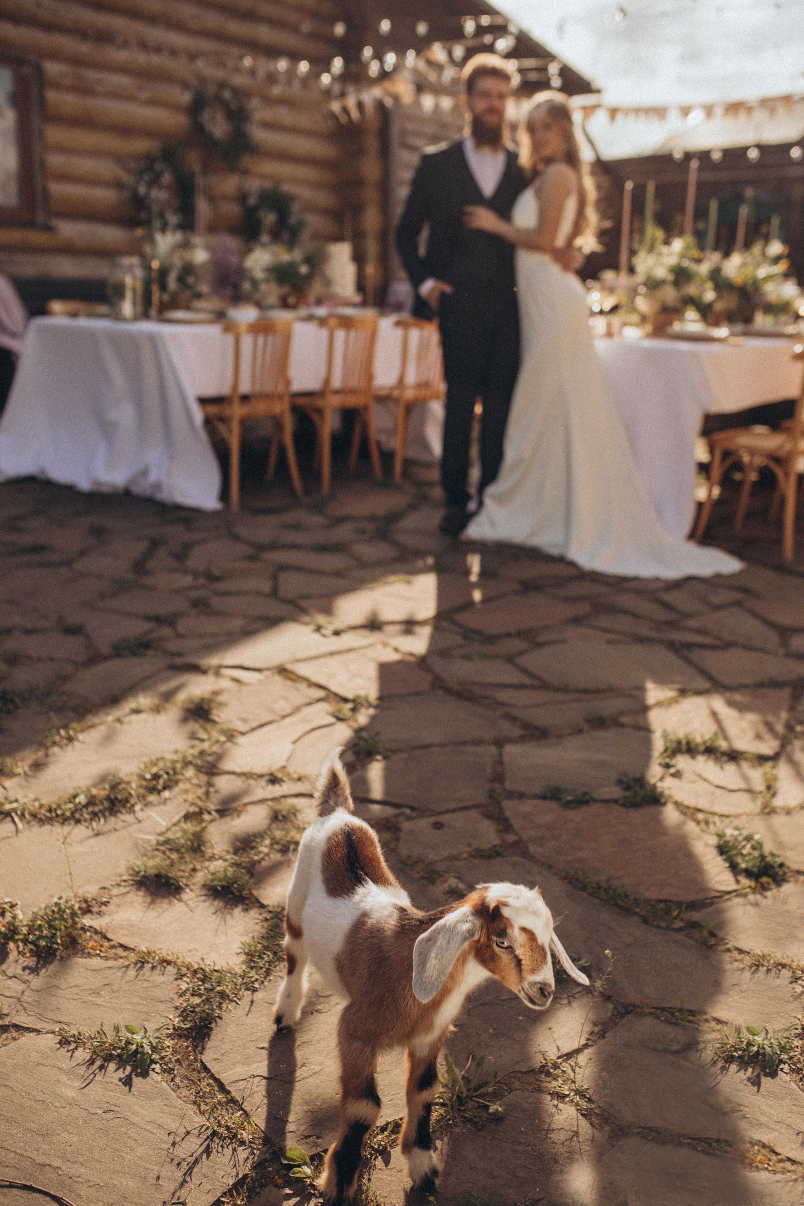 Александр и Ксения. Свадебный и семейный фотограф в Белгороде Евгения Курочкина