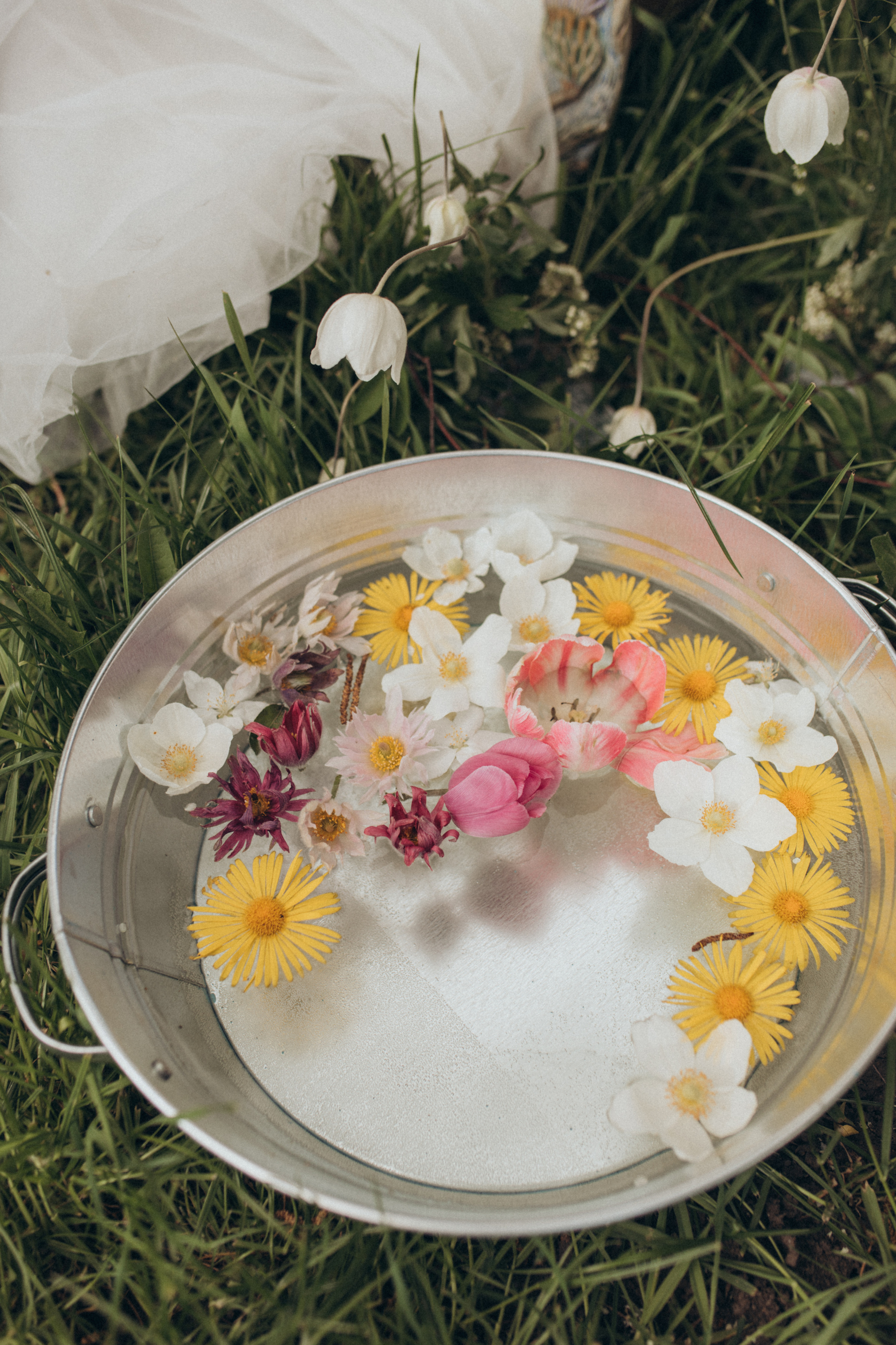 Александр и Ксения. Свадебный и семейный фотограф в Белгороде Евгения Курочкина