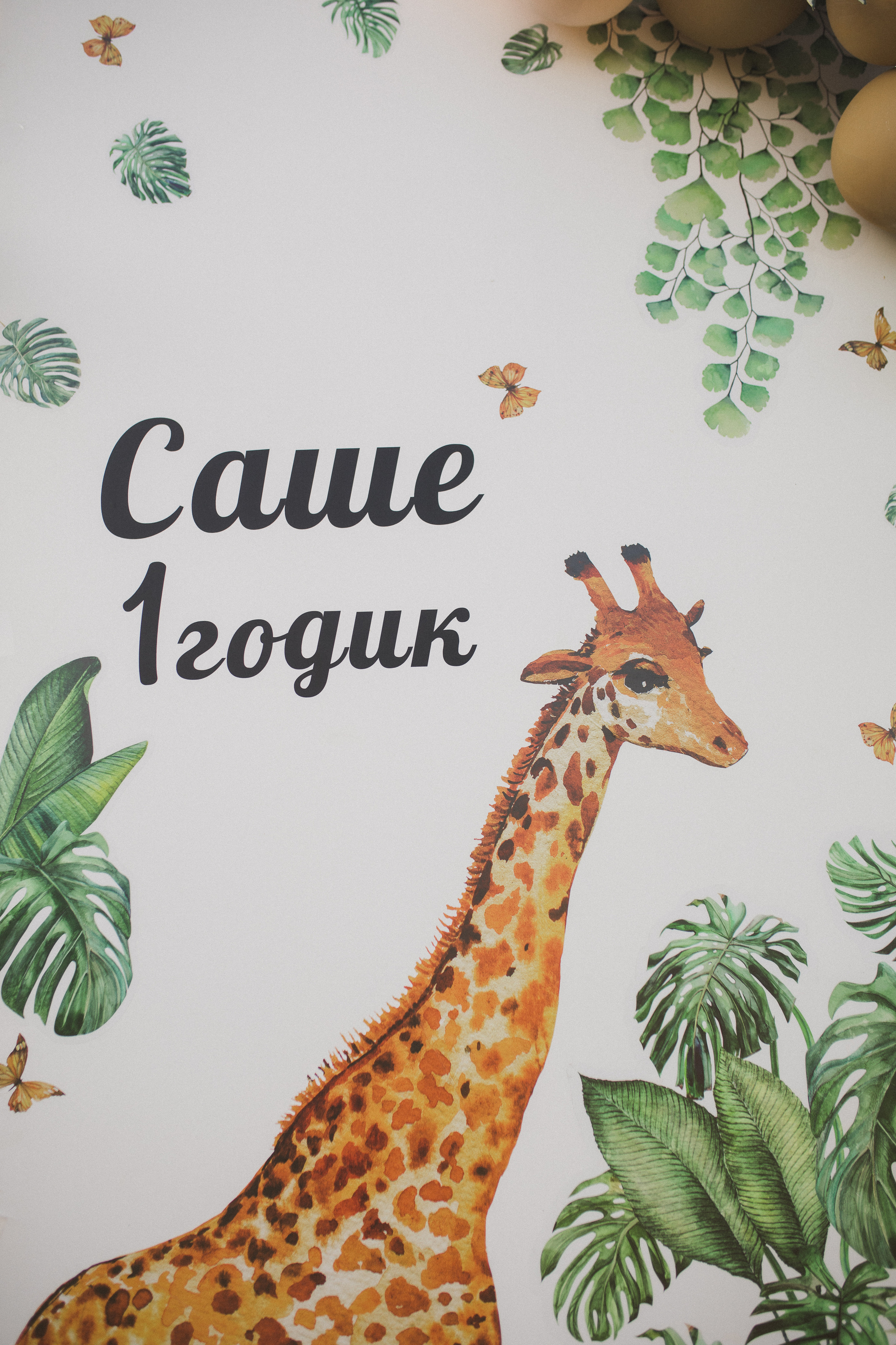 Первый День Рождения Сашеньки. Свадебный и семейный фотограф в Белгороде Евгения Курочкина