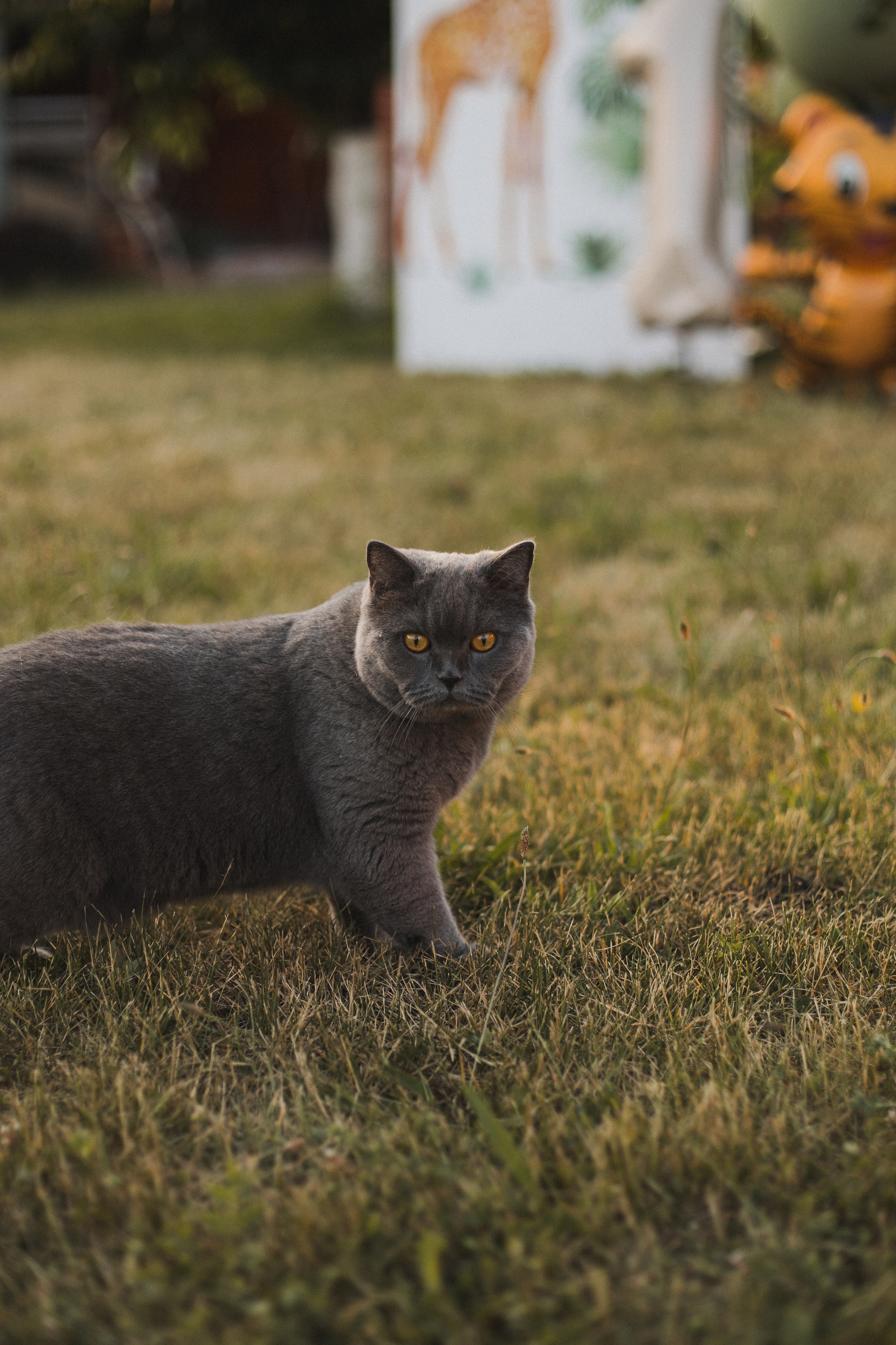 Первый День Рождения Сашеньки. Свадебный и семейный фотограф в Белгороде Евгения Курочкина