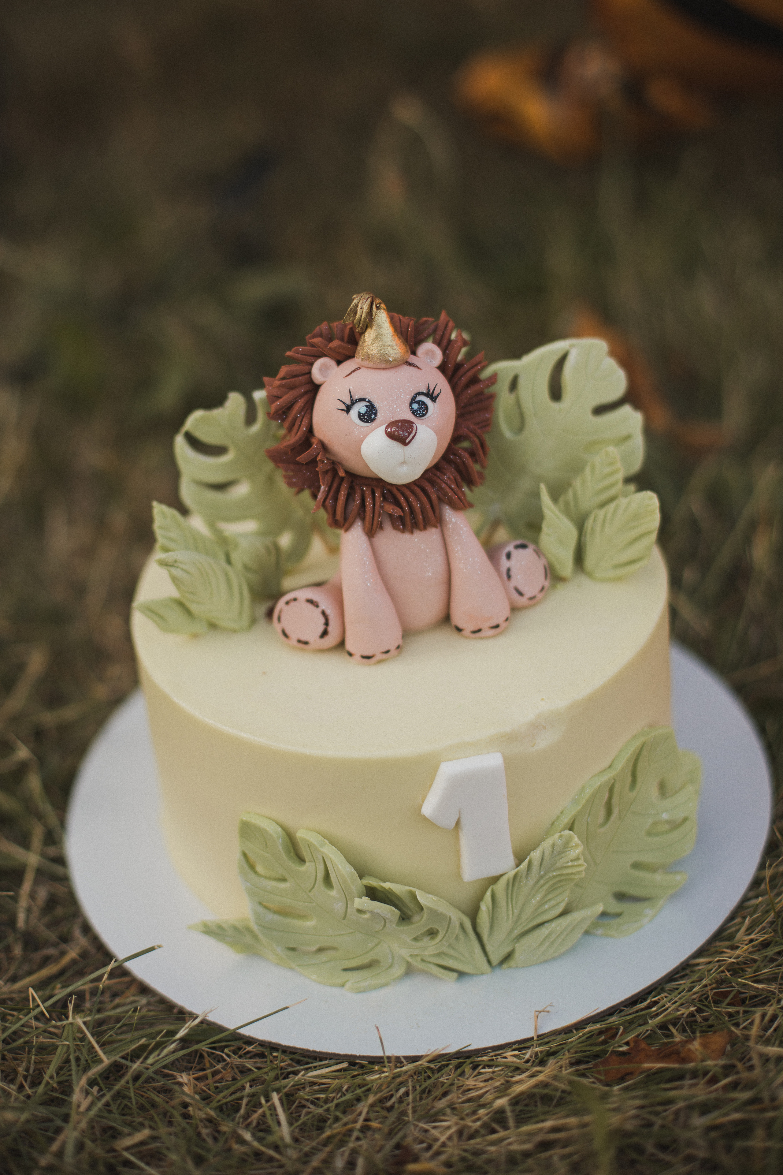 Первый День Рождения Сашеньки. Свадебный и семейный фотограф в Белгороде Евгения Курочкина