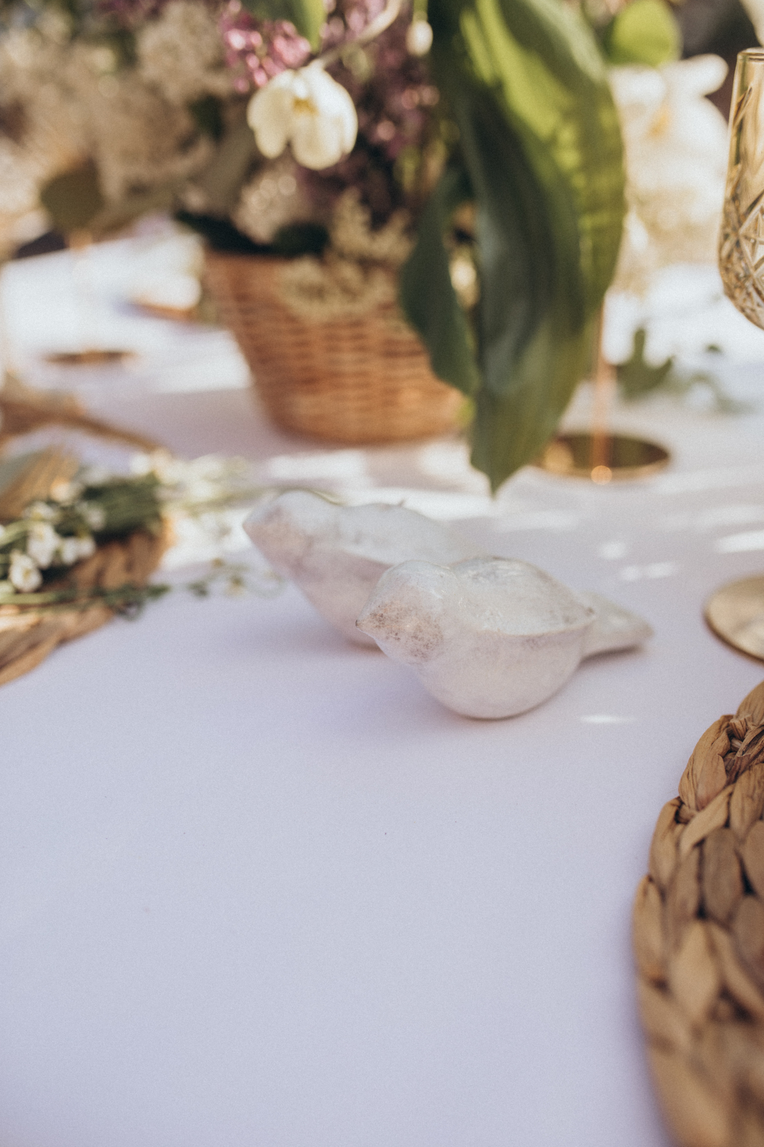 Александр и Ксения. Свадебный и семейный фотограф в Белгороде Евгения Курочкина