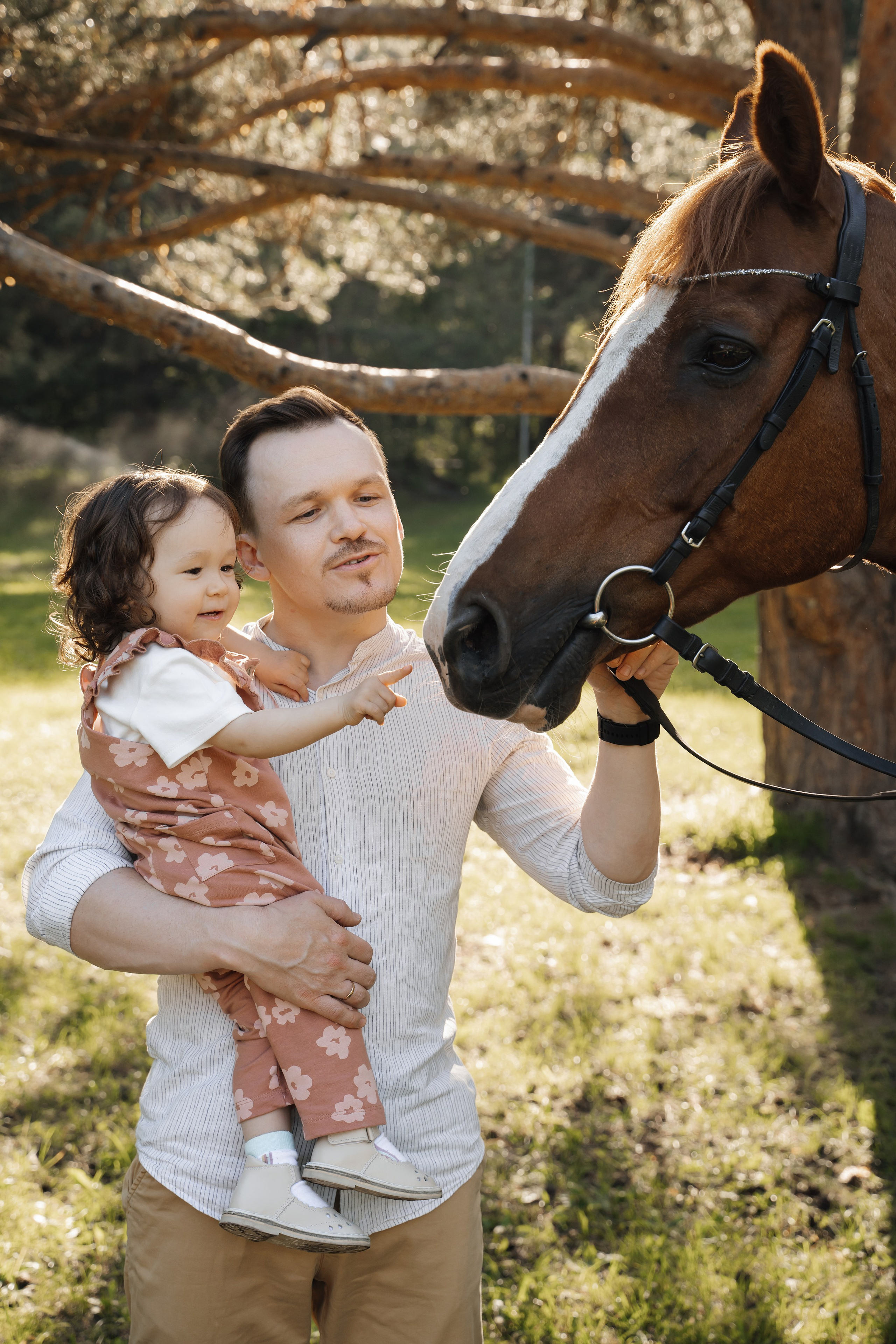 Семейная история с лошадьми. Главная