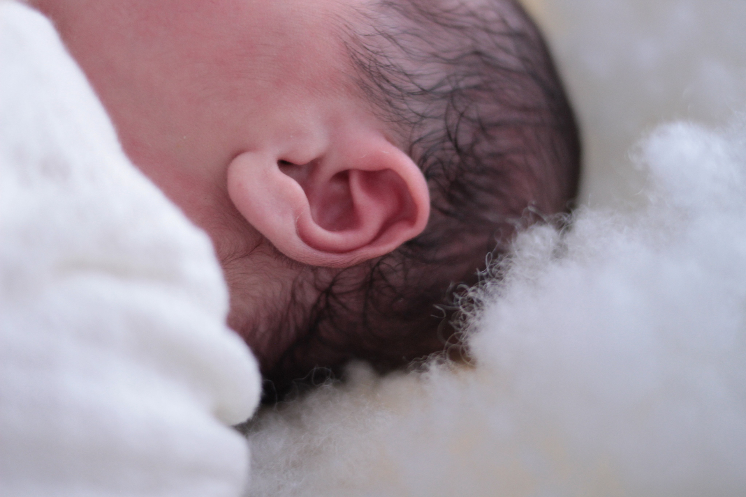 Семейные. Фотограф в Канске Алина