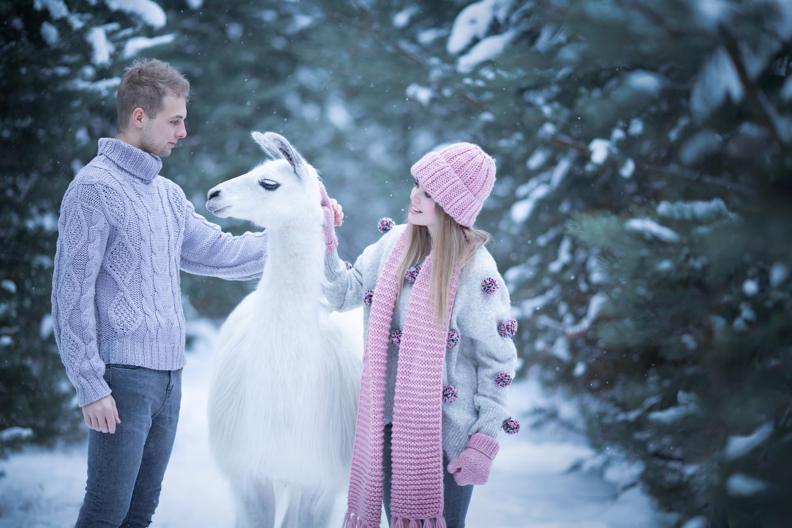 Фотосессия с ламой