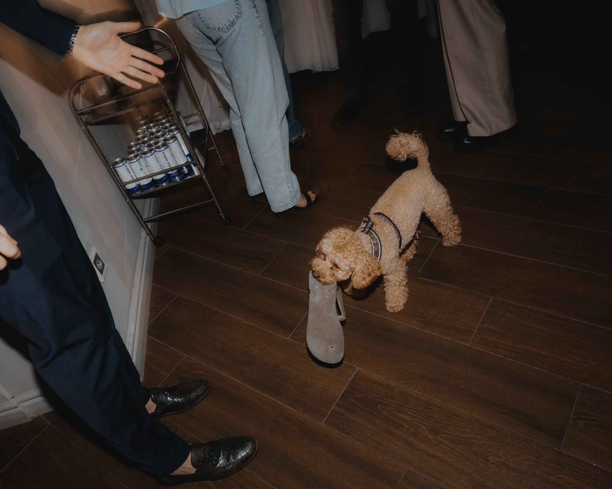 15 лет PIZHON. Свадебные фотографы в Гомеле и Минске Сергей и Анастасия Фещенок