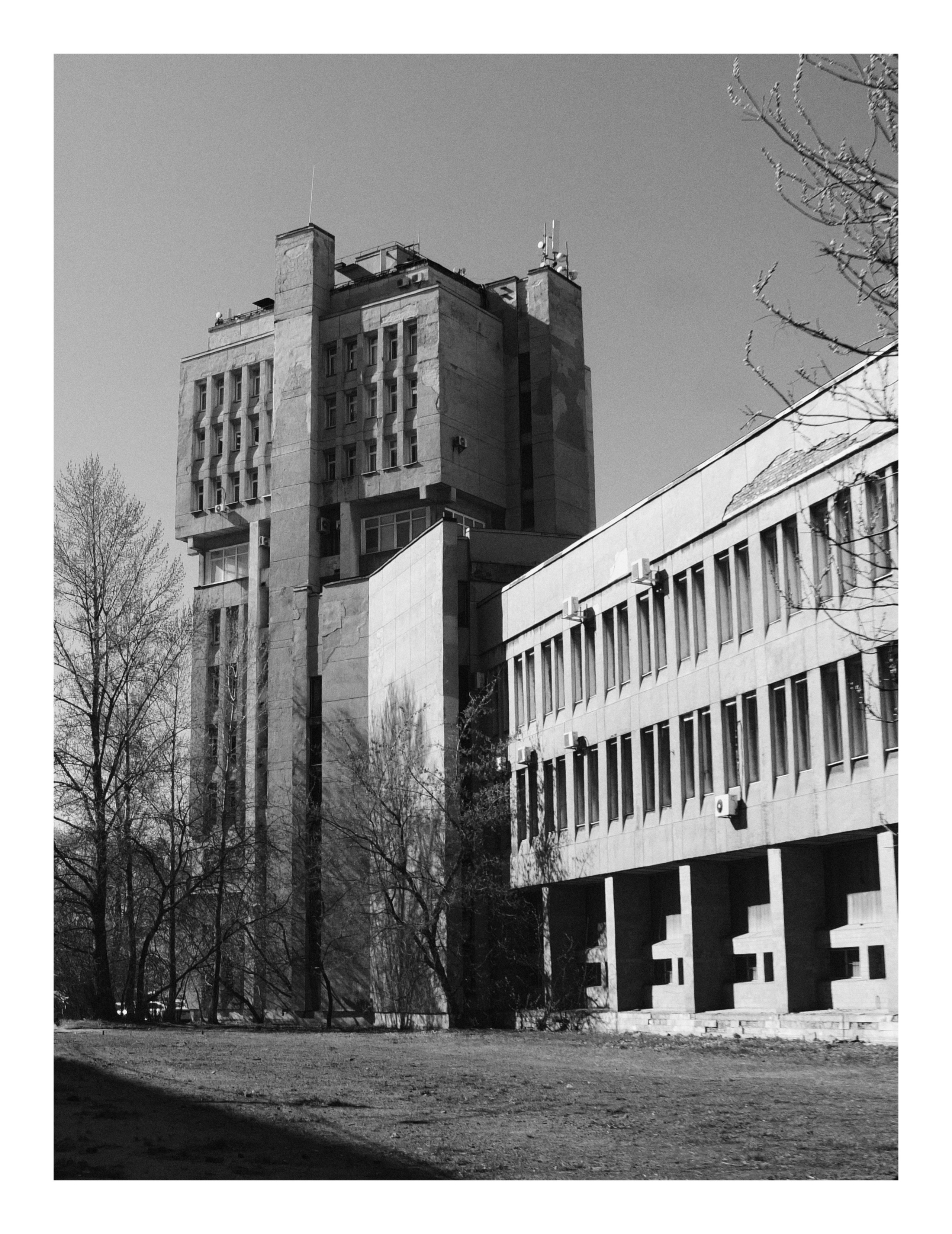 Bec. Шмитов Егор