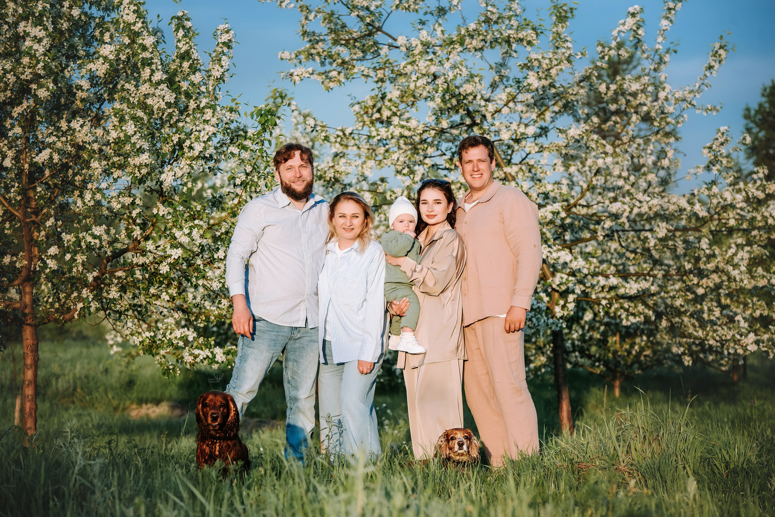 Фотопрогулка с питомцами. Фотограф Диана Оленина Красноярск / Братск