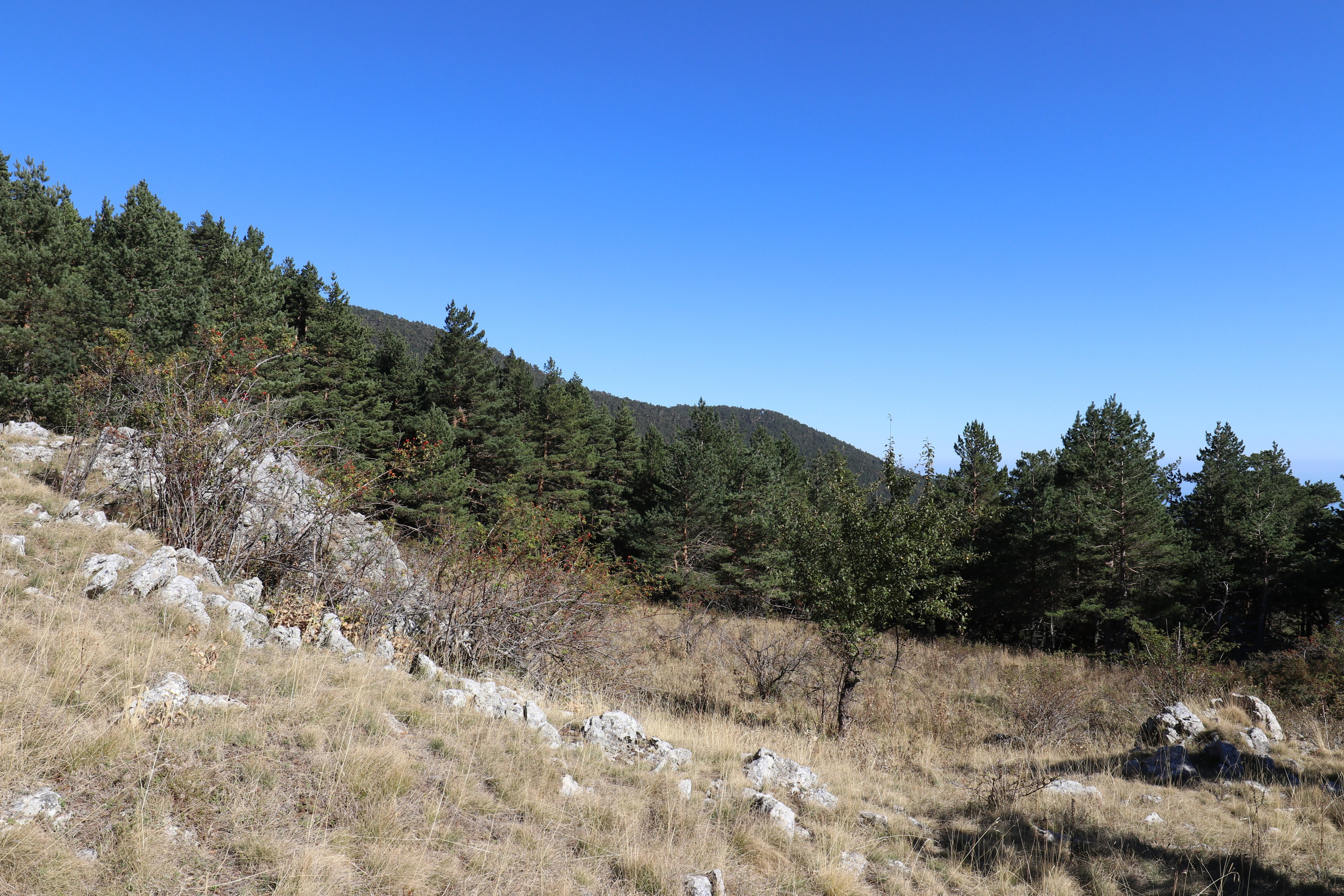 Крым. ЮБК (Фиолент, Ай-Петри, Роман-Кош). Знакомство. Октябрь 2017. Путешественник-фотограф из Санкт-Петербурга Татьяна Свистулина