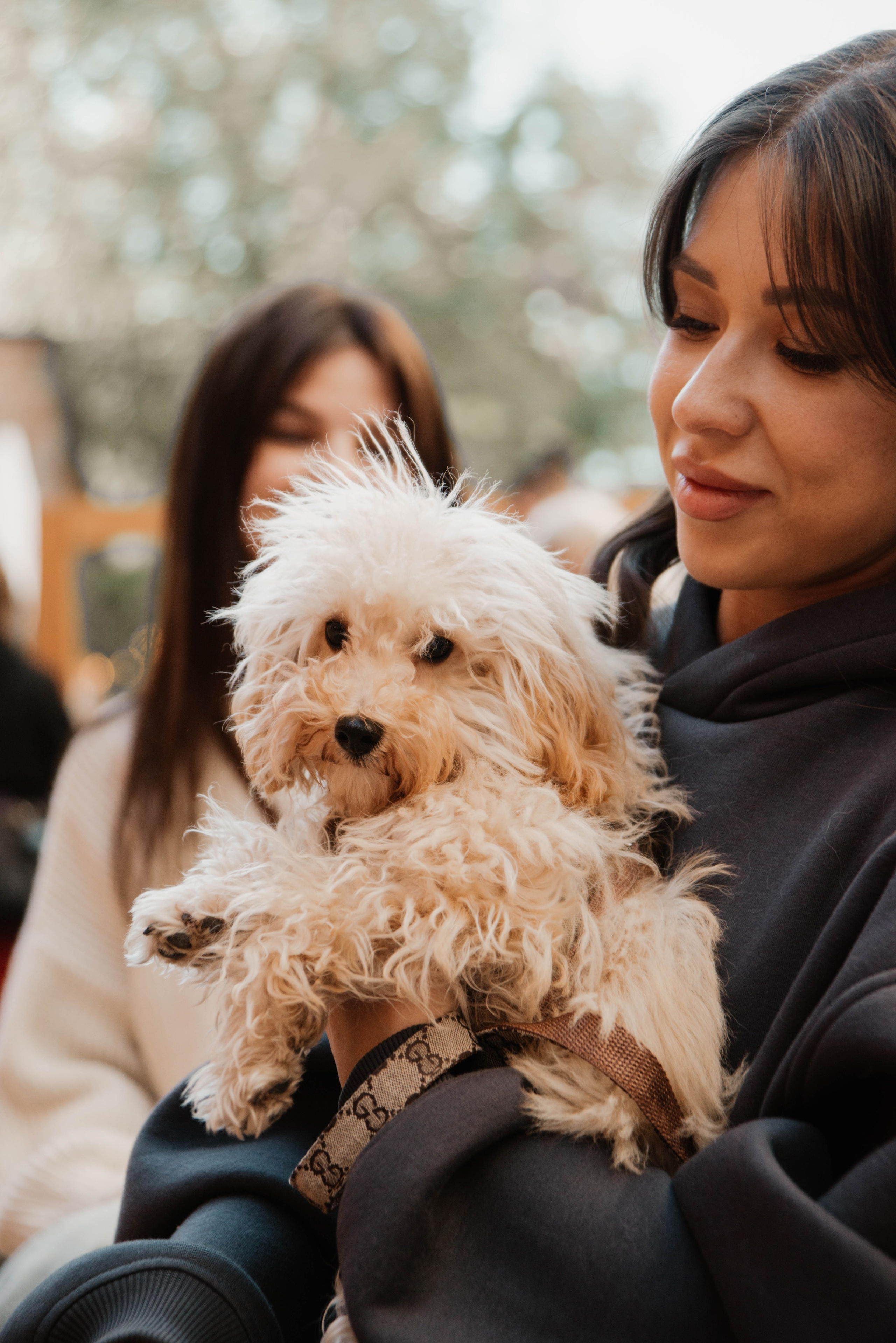 Дог-вечеринка на летнике «Кутёж». Ксения Glossa. Портретный и репортажный фотограф в Самаре