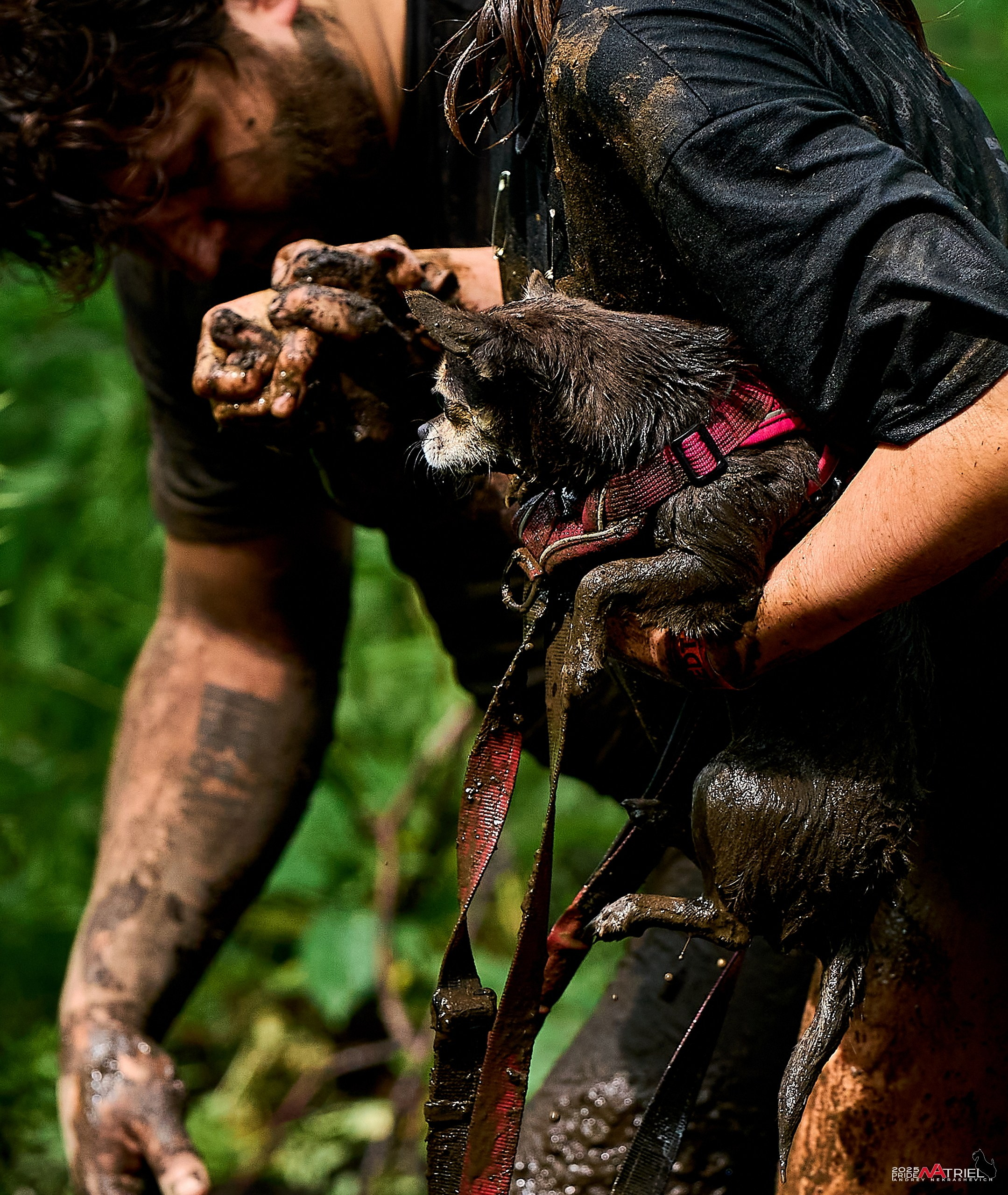 Russian Extreme Dog Trail — 2025