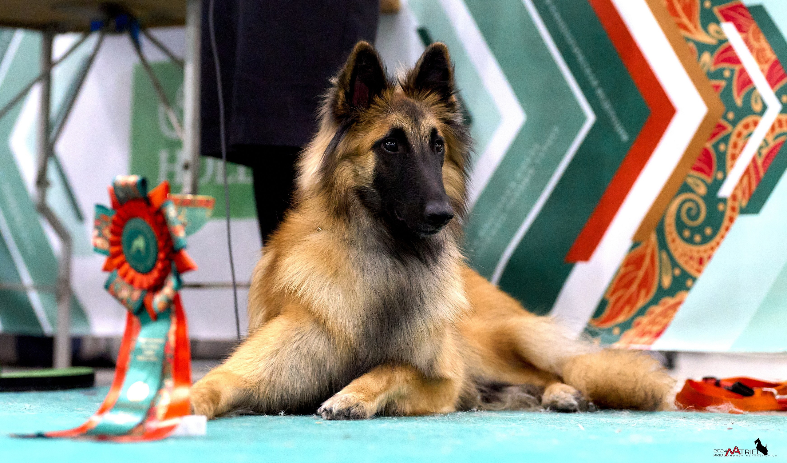 Съемка на выставке ЕВРАЗИЯ-2024