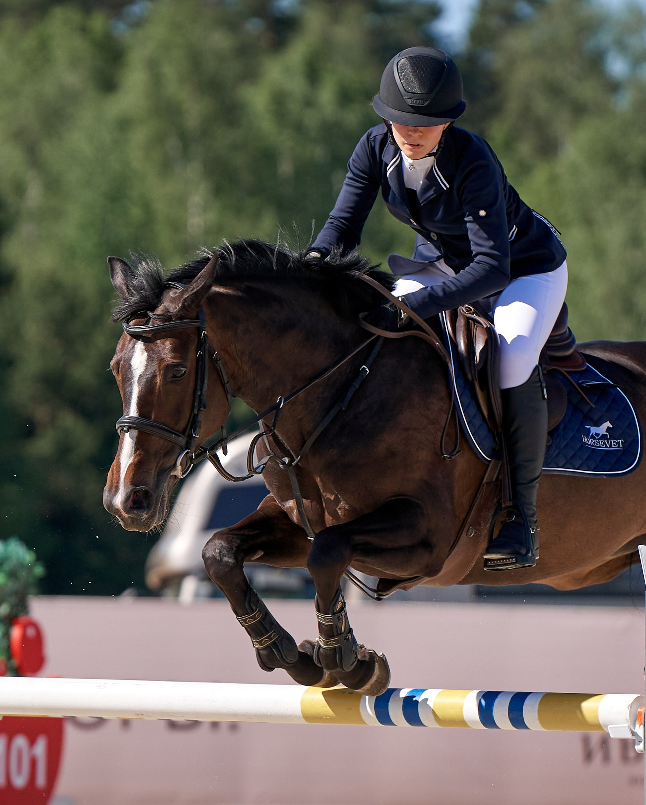 Соревнования на лошадях — галерея NATRIEL