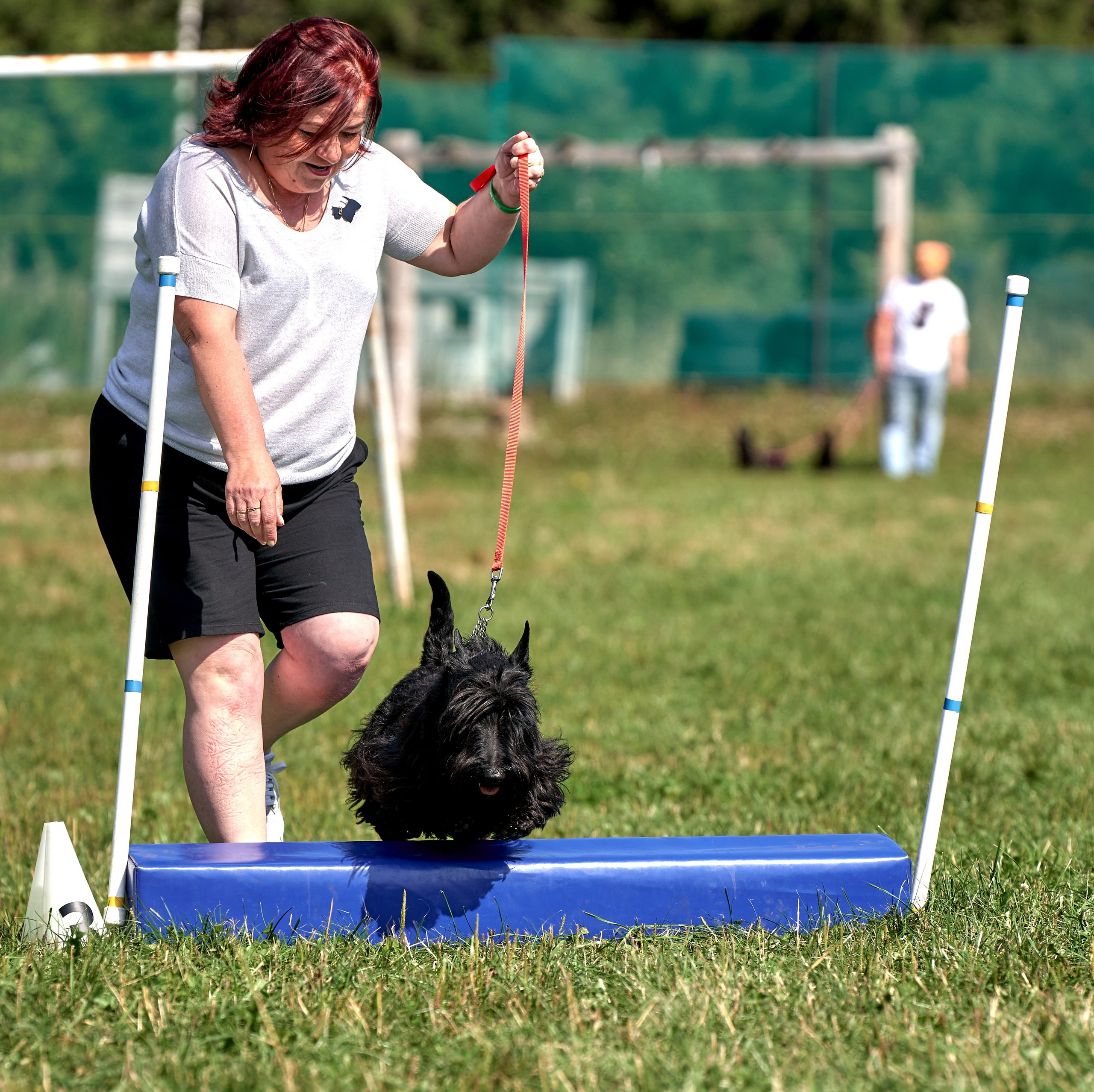 Мероприятия с собаками — галерея NATRIEL