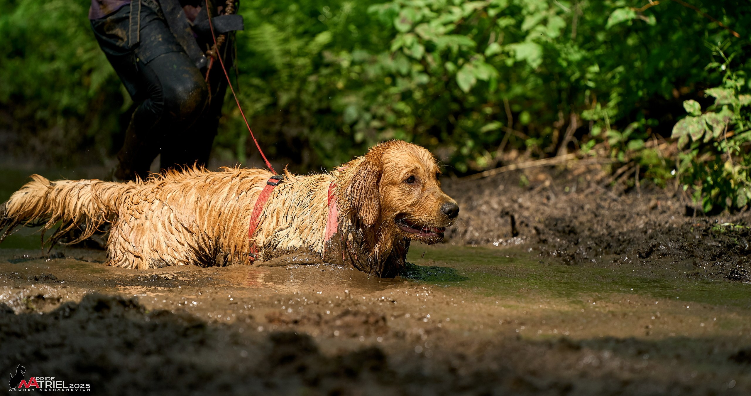 Russian Extreme Dog Trail — 2025