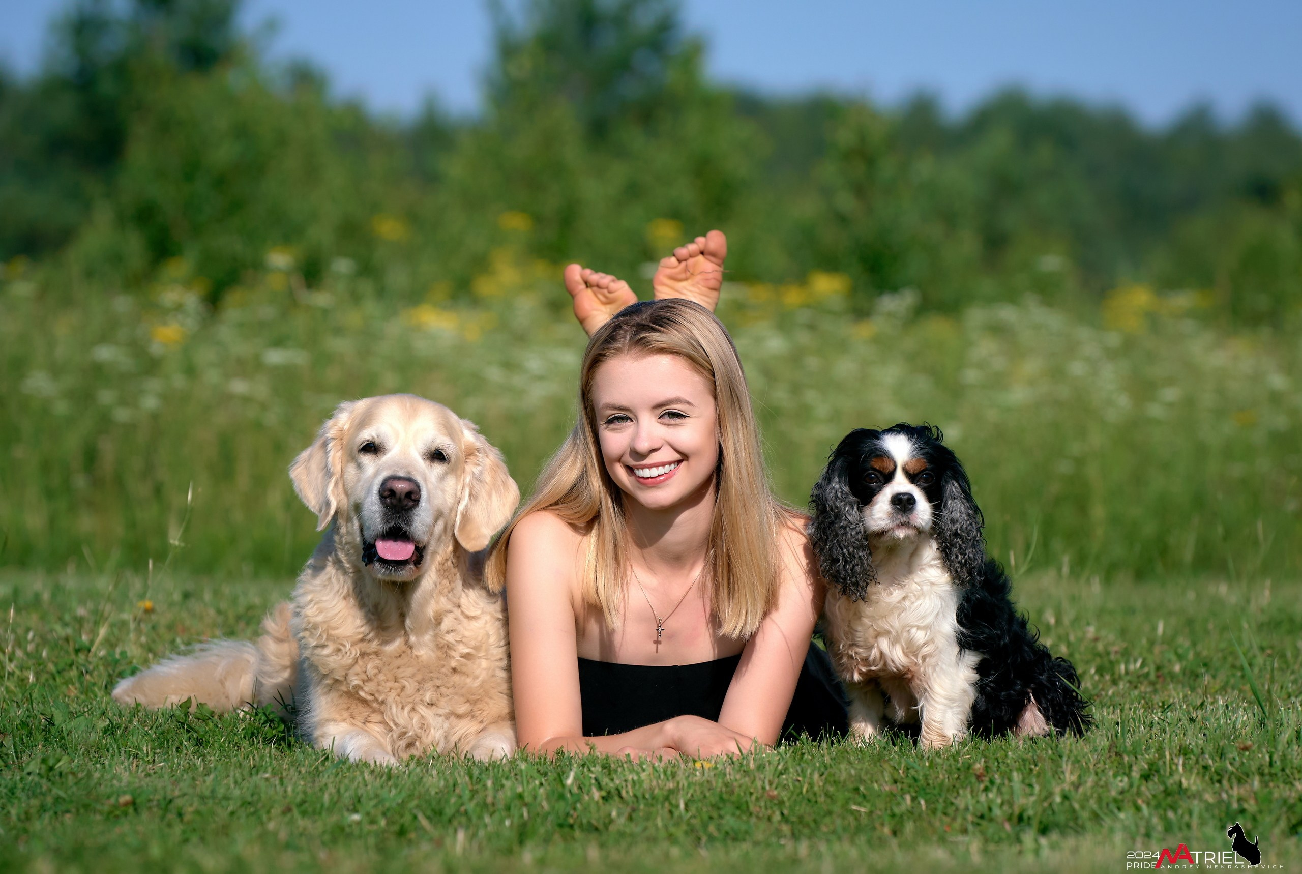 Репортаж из кинологического лагеря