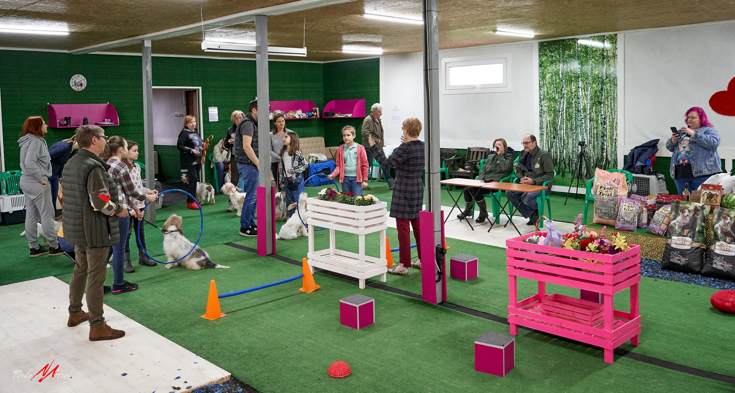 Мероприятия с собаками — галерея NATRIEL